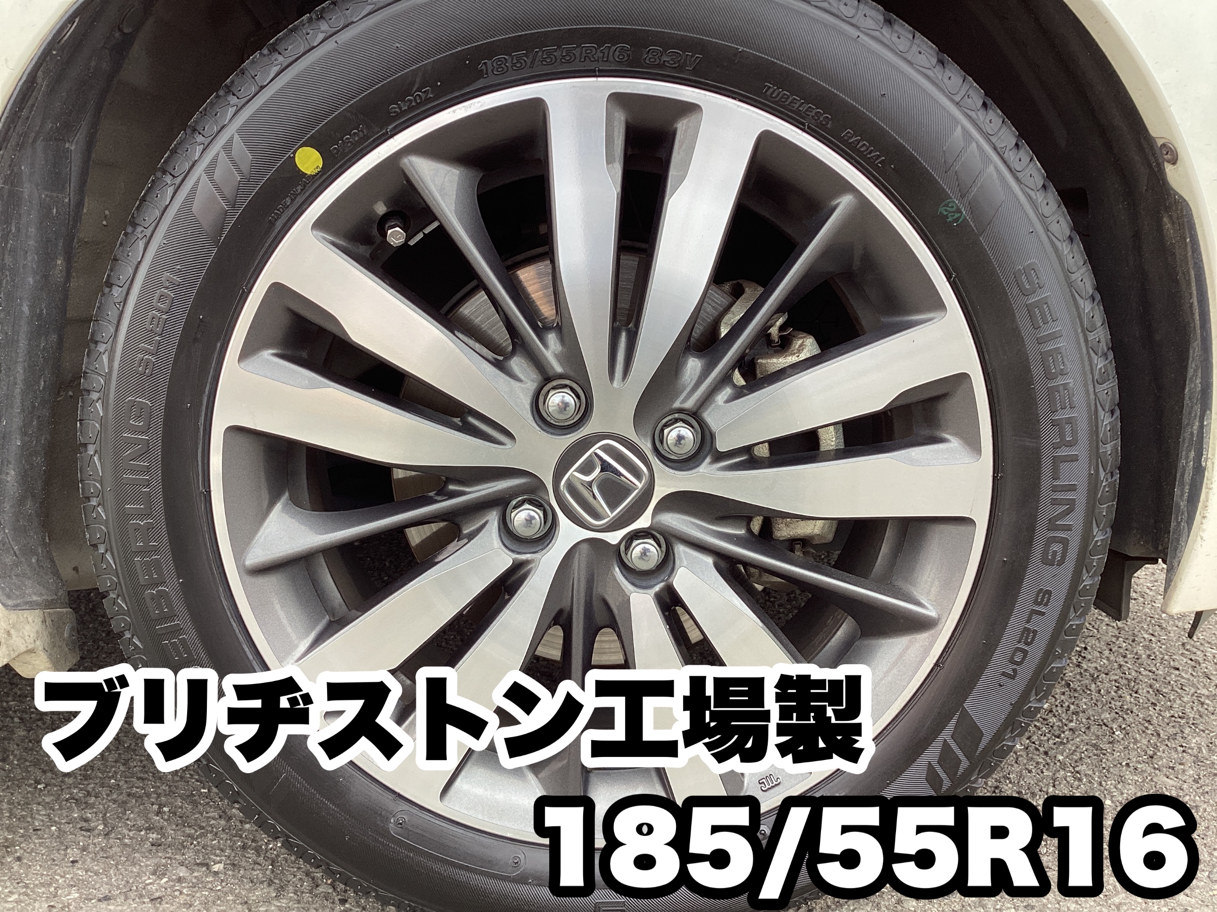 スタッフ撮影分