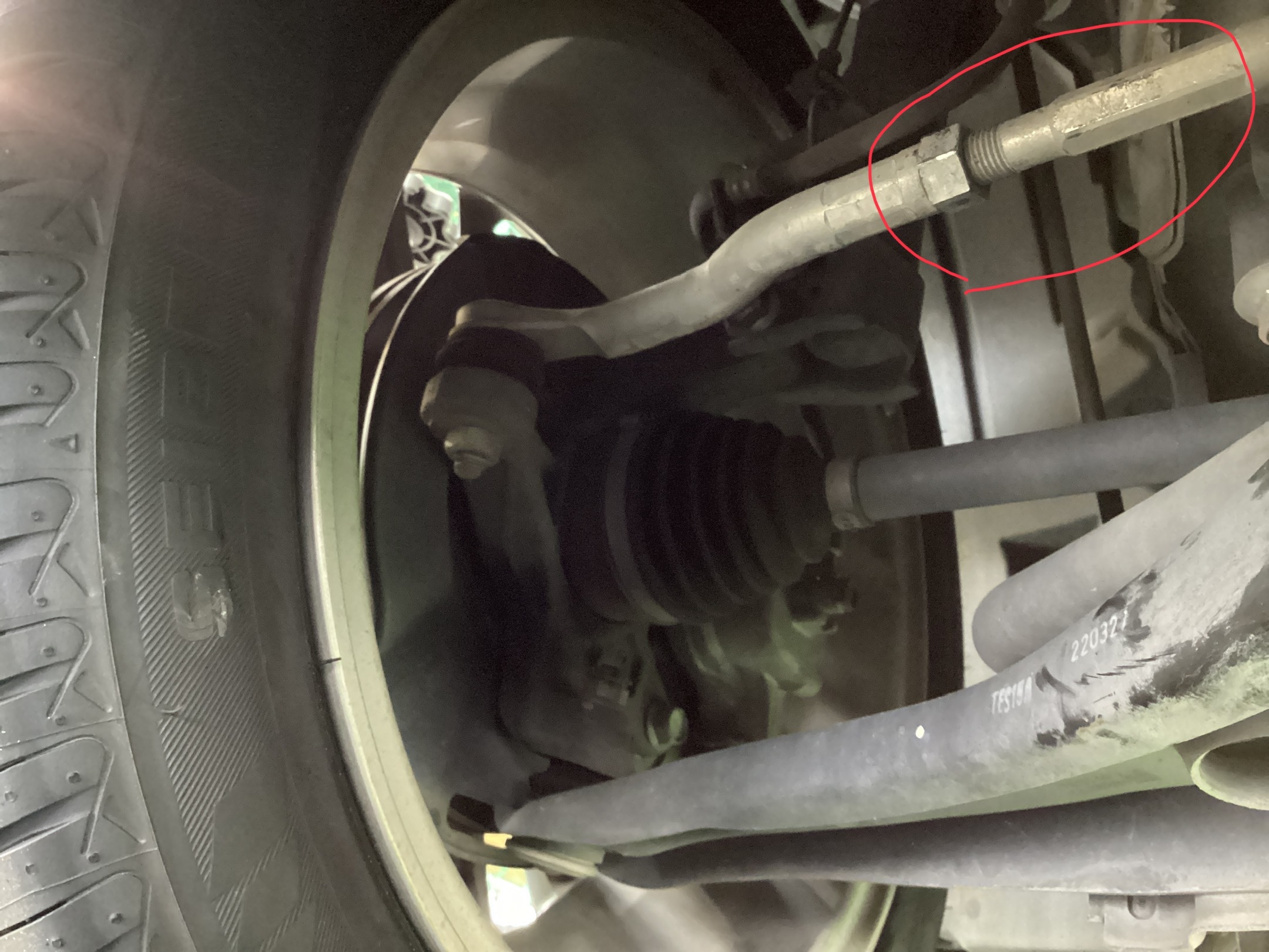 スタッフ撮影分