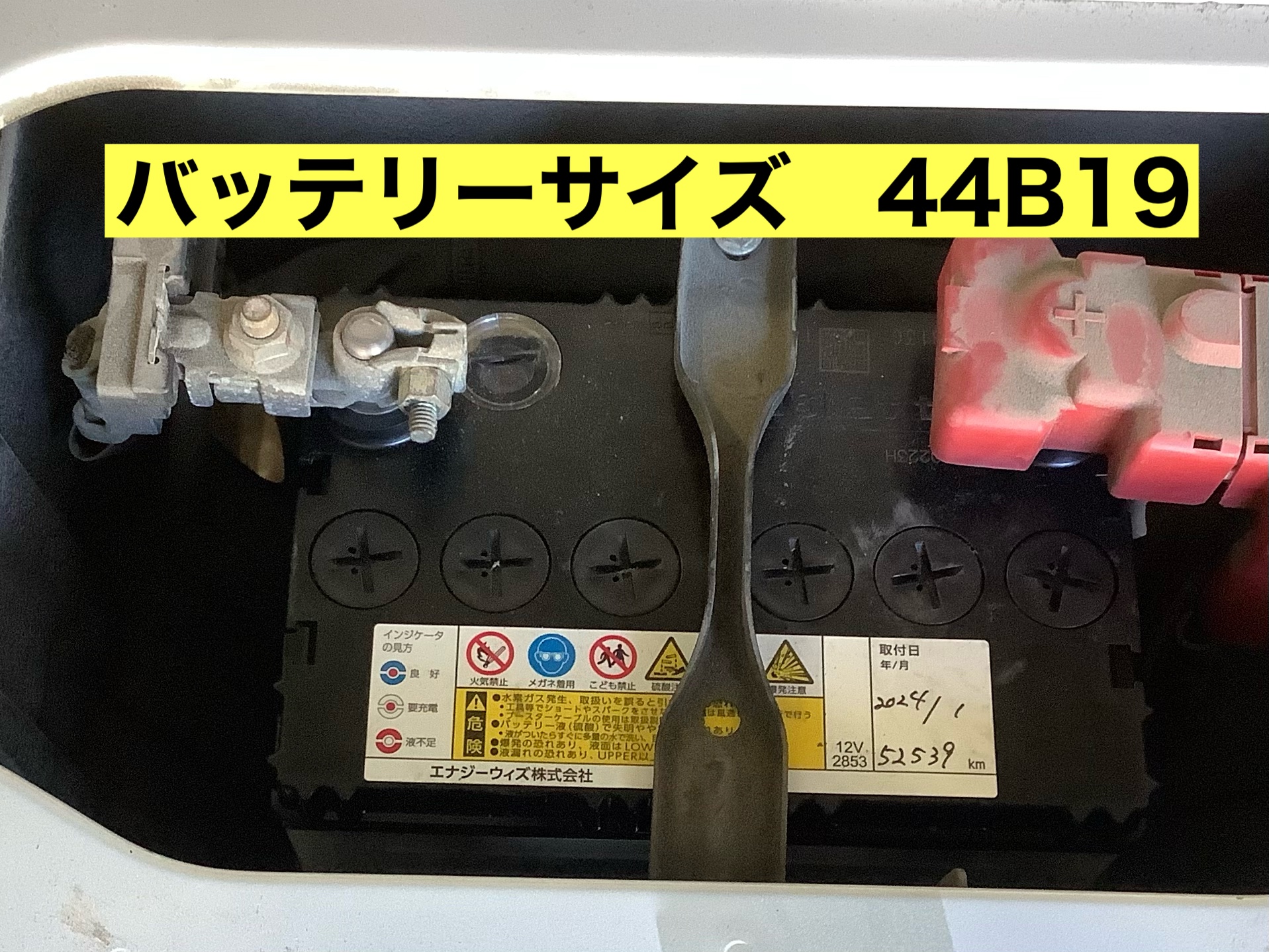 スタッフが撮影