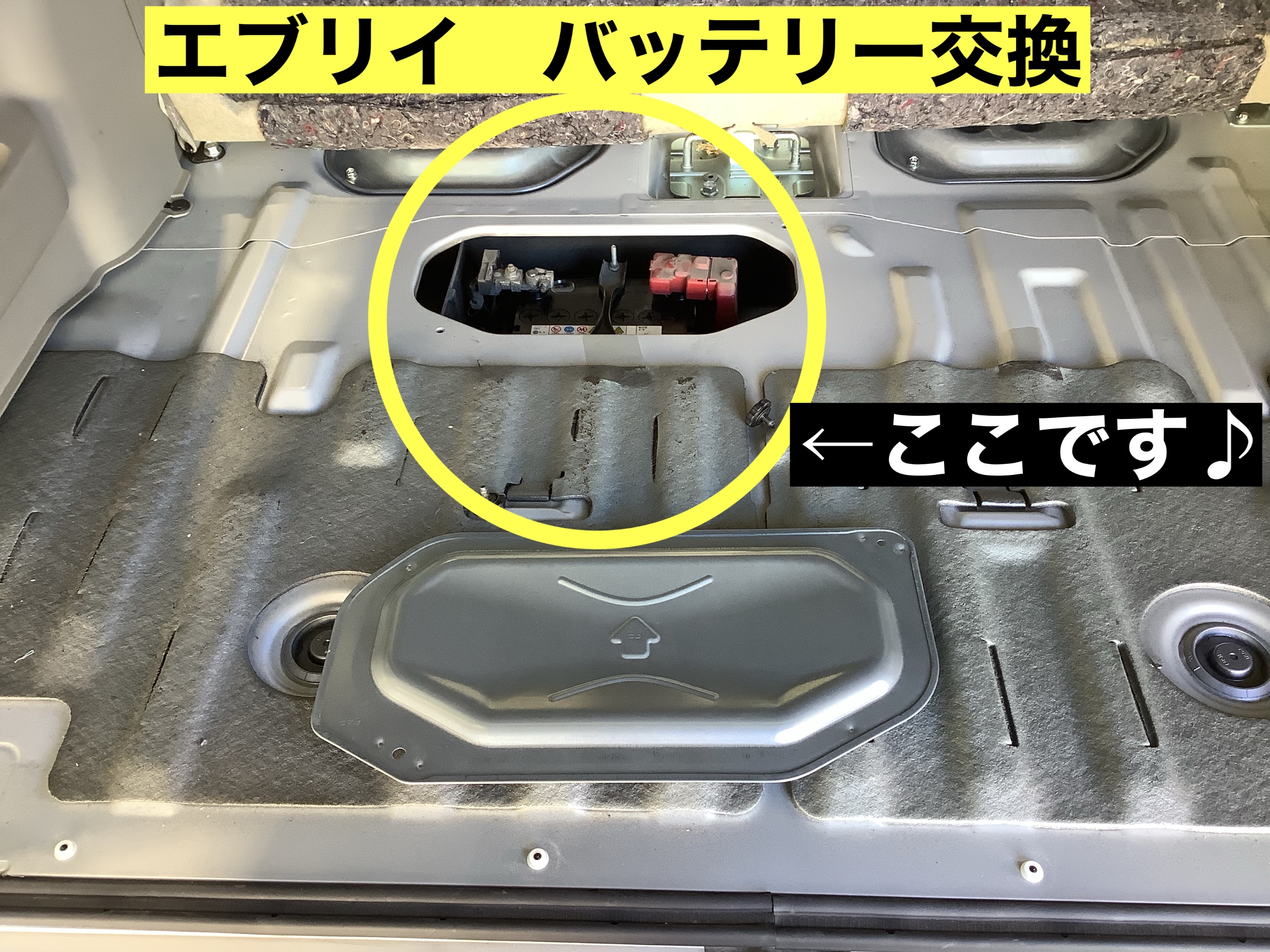 スタッフが撮影