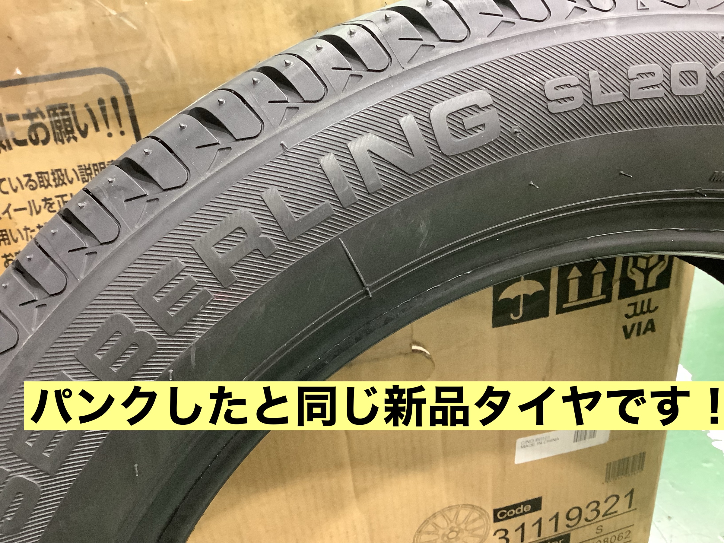 スタッフが撮影