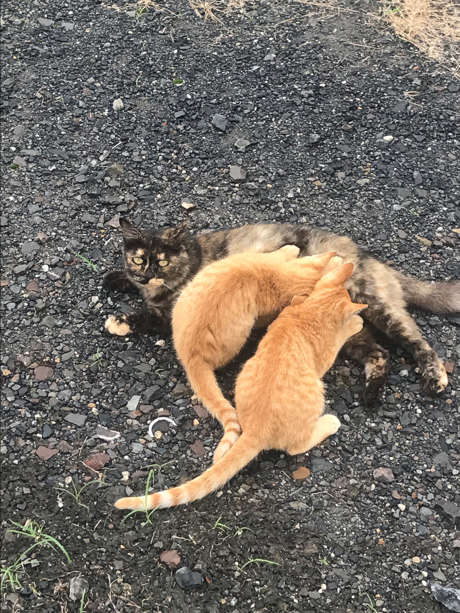 スタッフ撮影です。