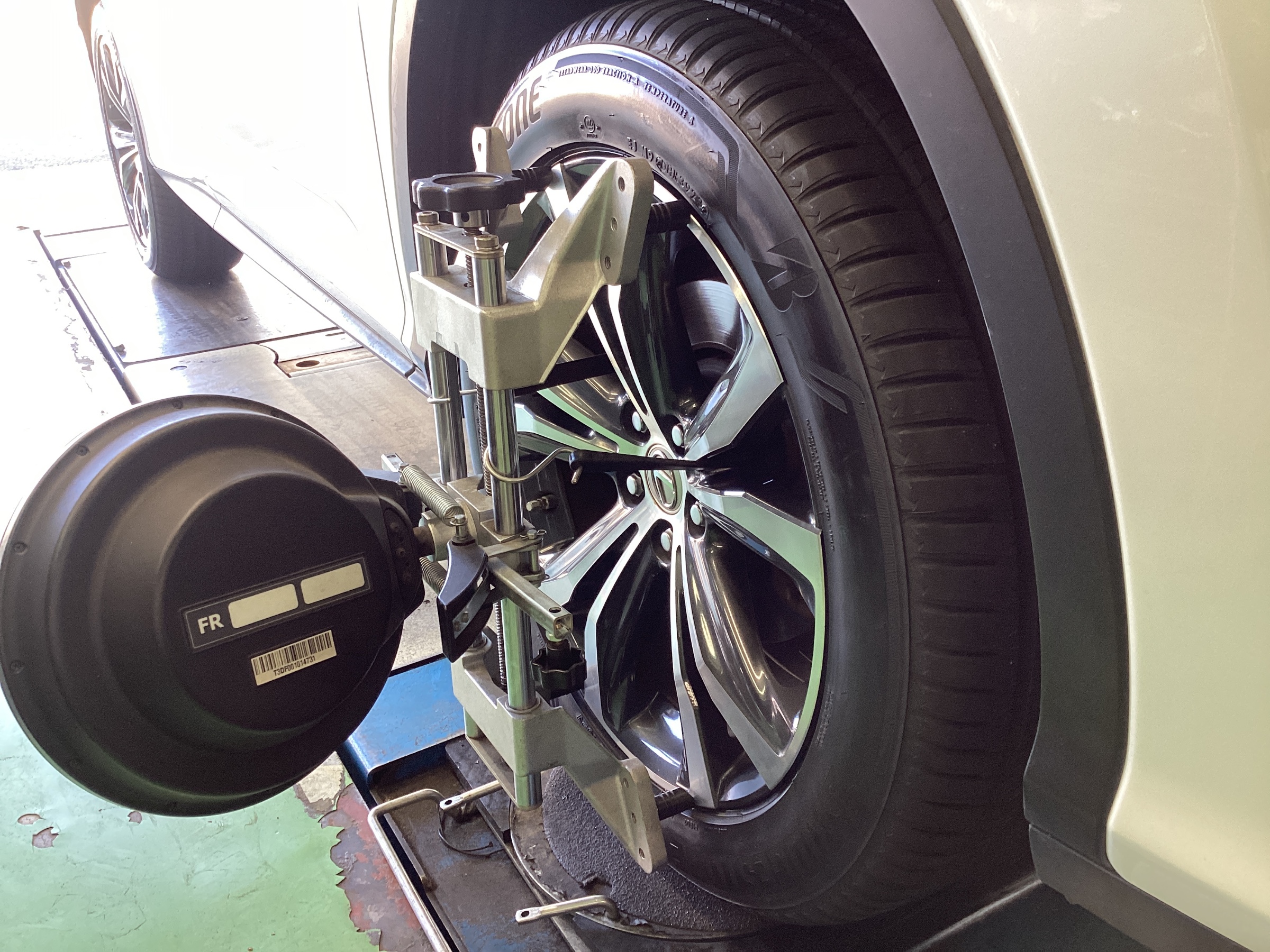 スタッフ撮影分