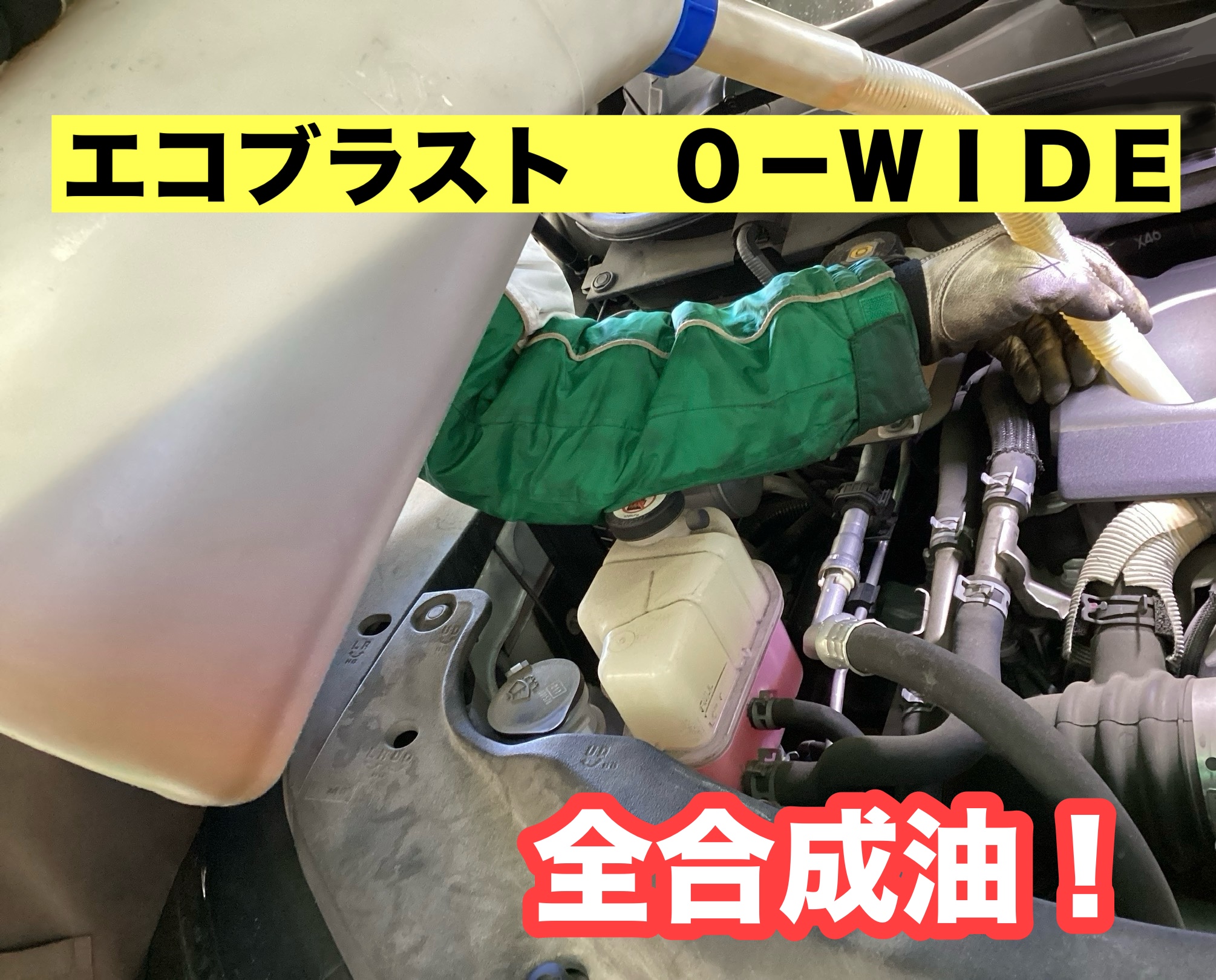 スタッフ撮影分