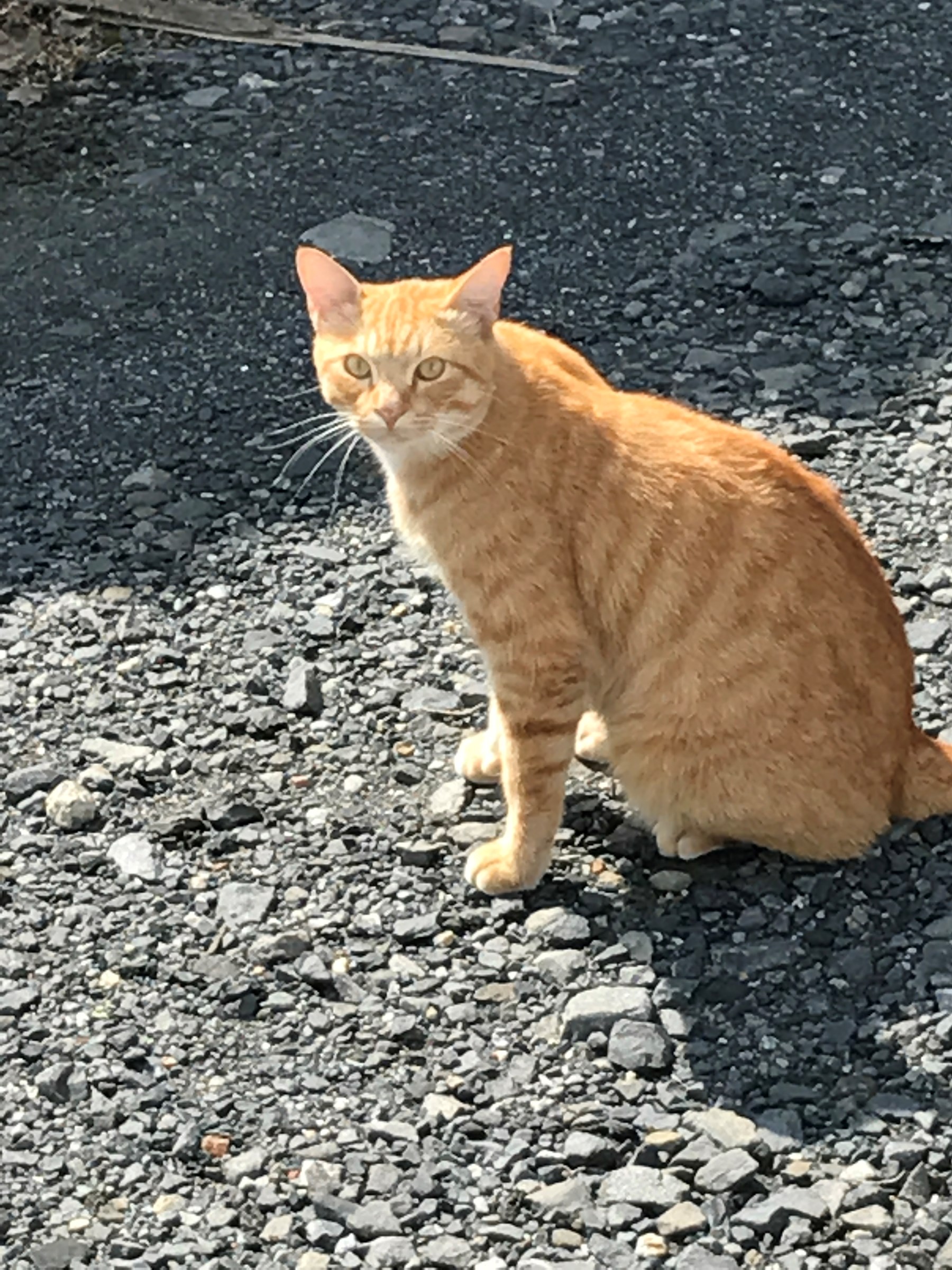 スタッフ撮影です。