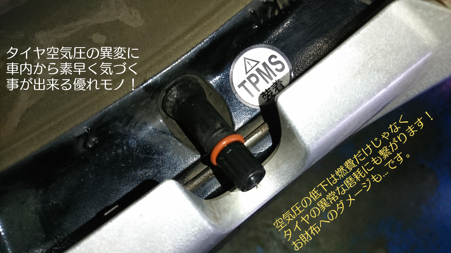 スタッフ撮影