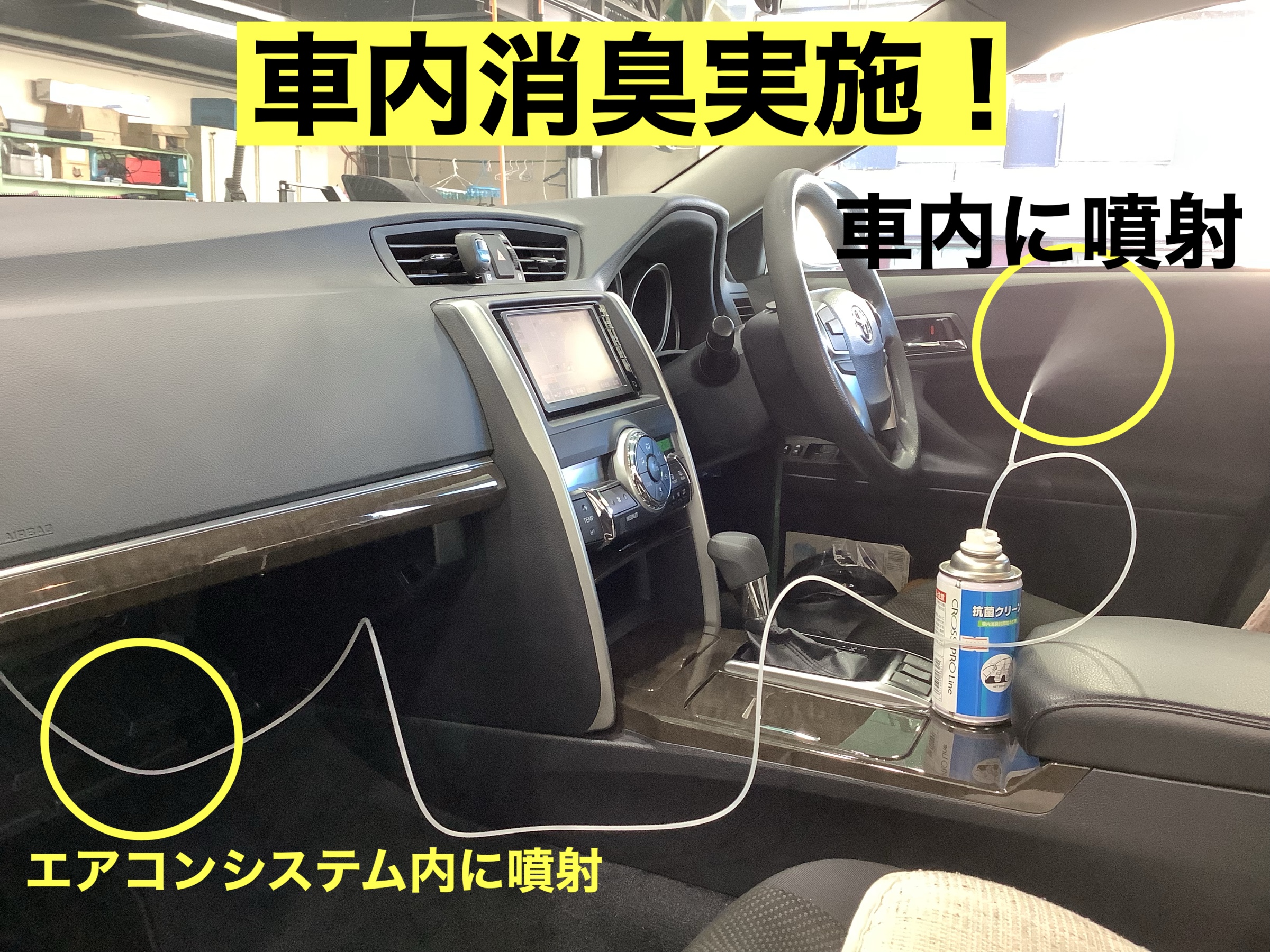 スタッフが撮影