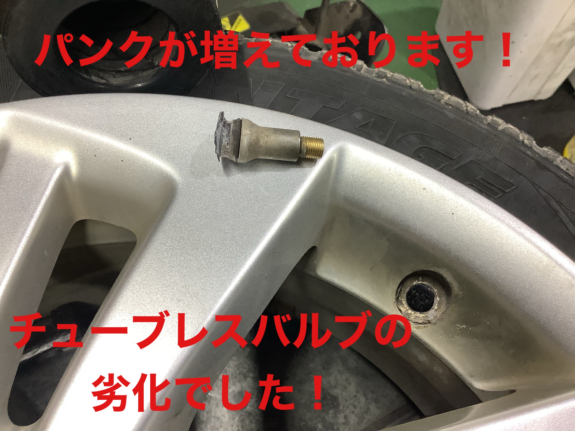 自店撮影です