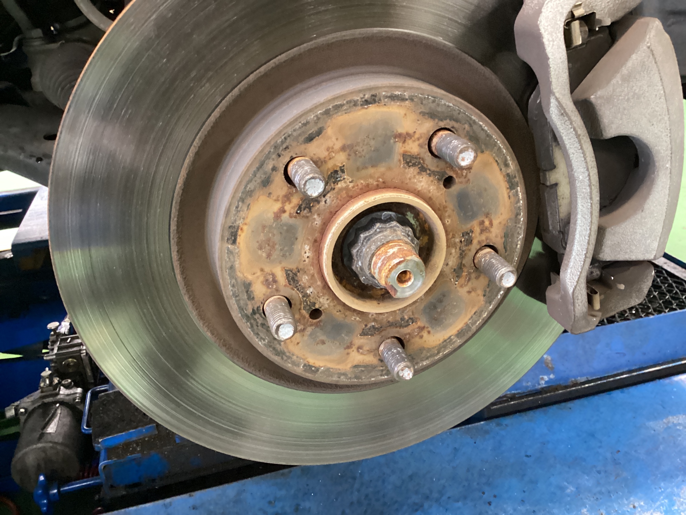 スタッフ撮影分