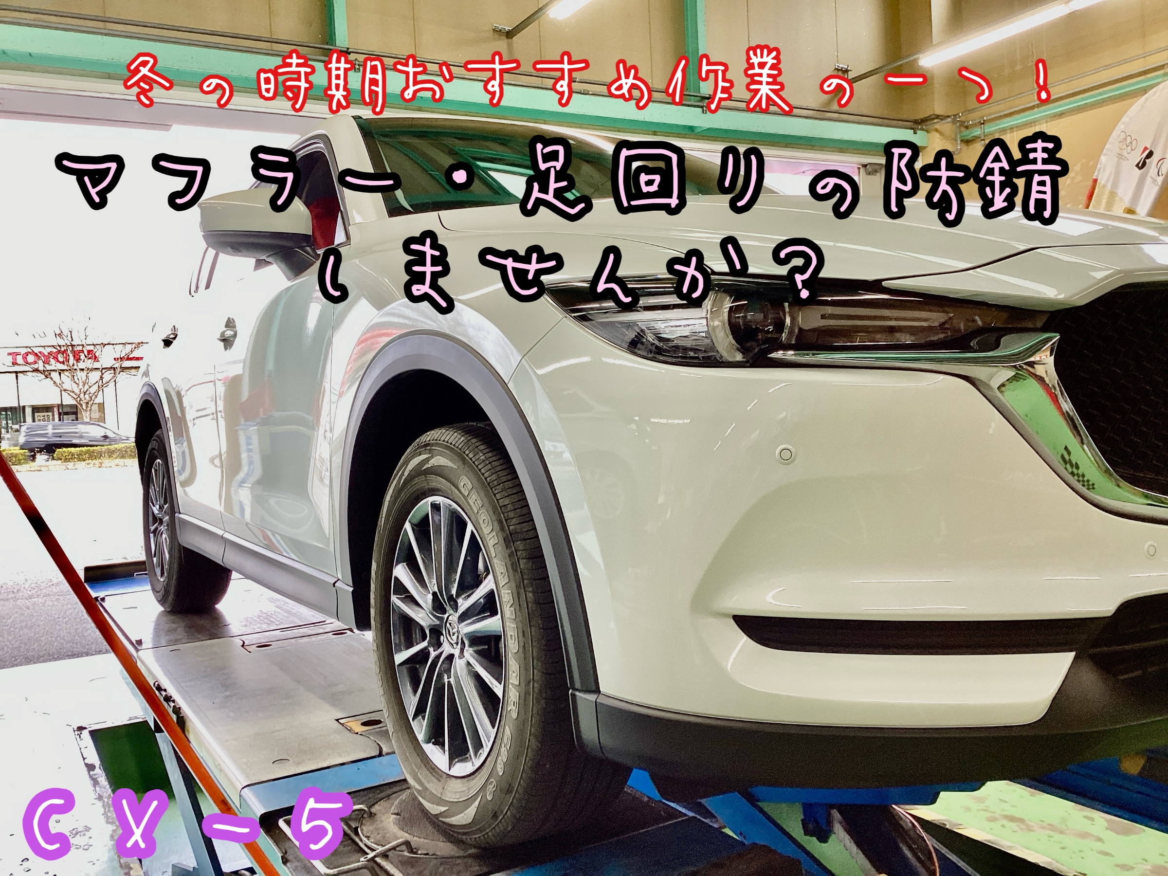 スタッフ撮影分