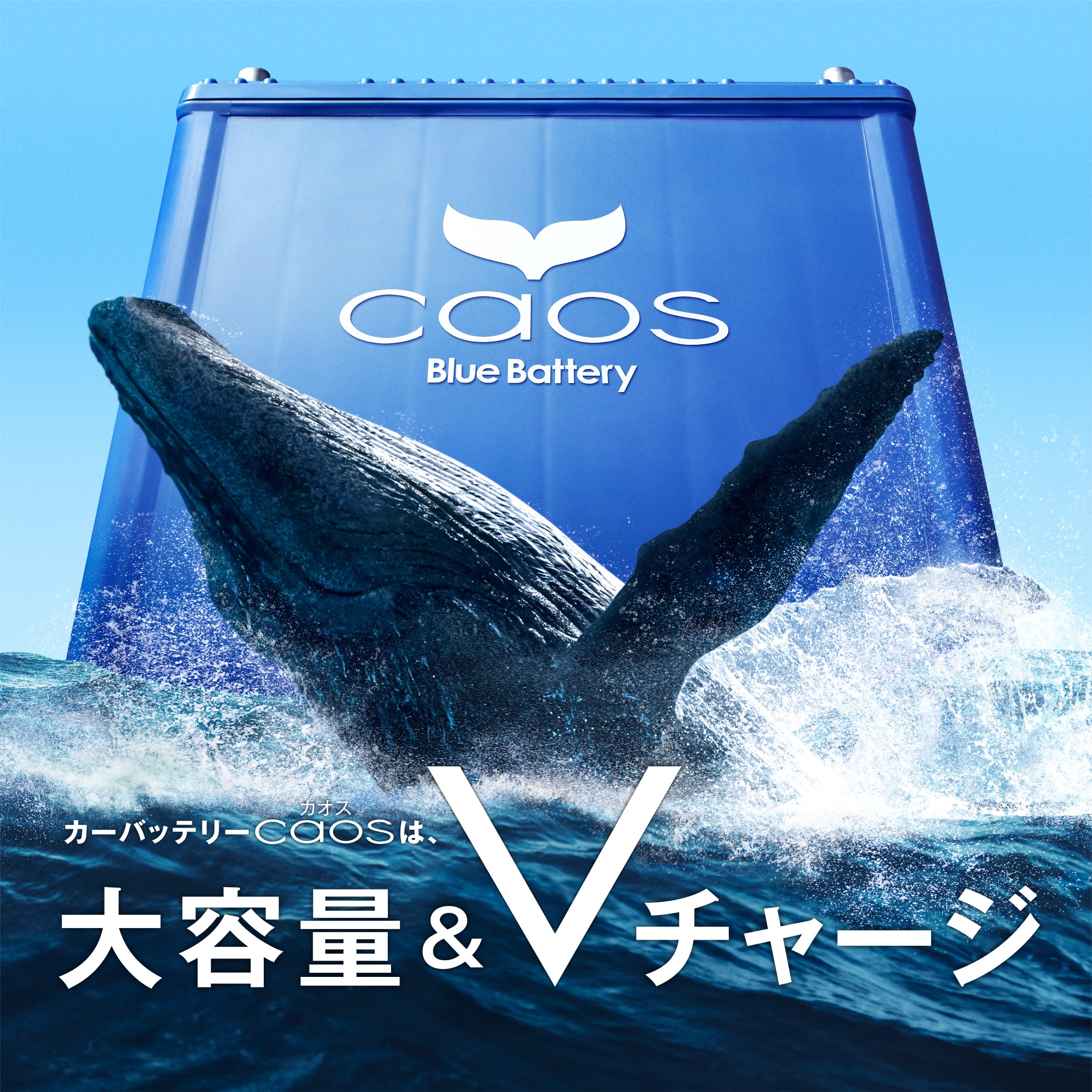 本部提供分画像使用