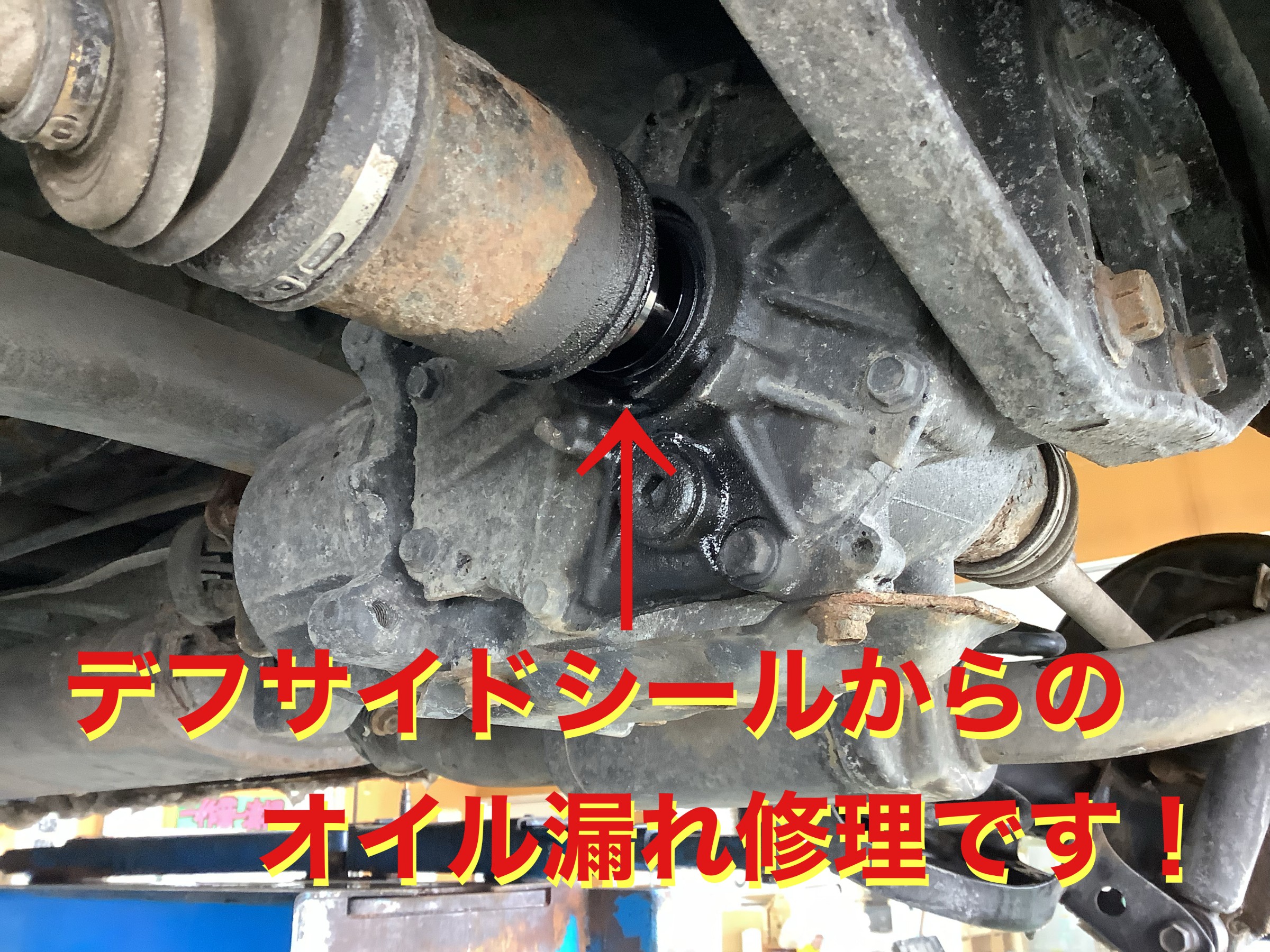 自店撮影です