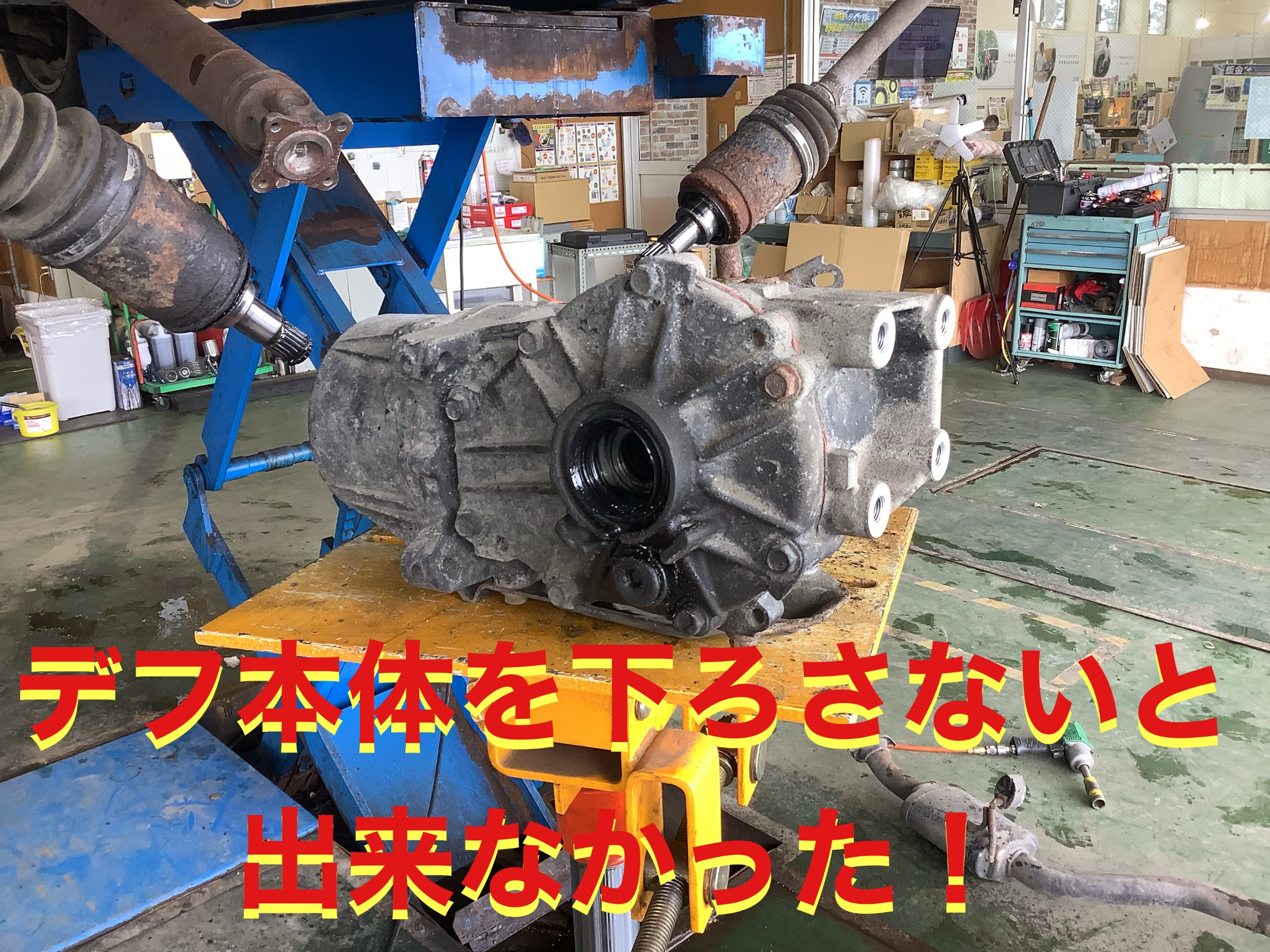 自店撮影です