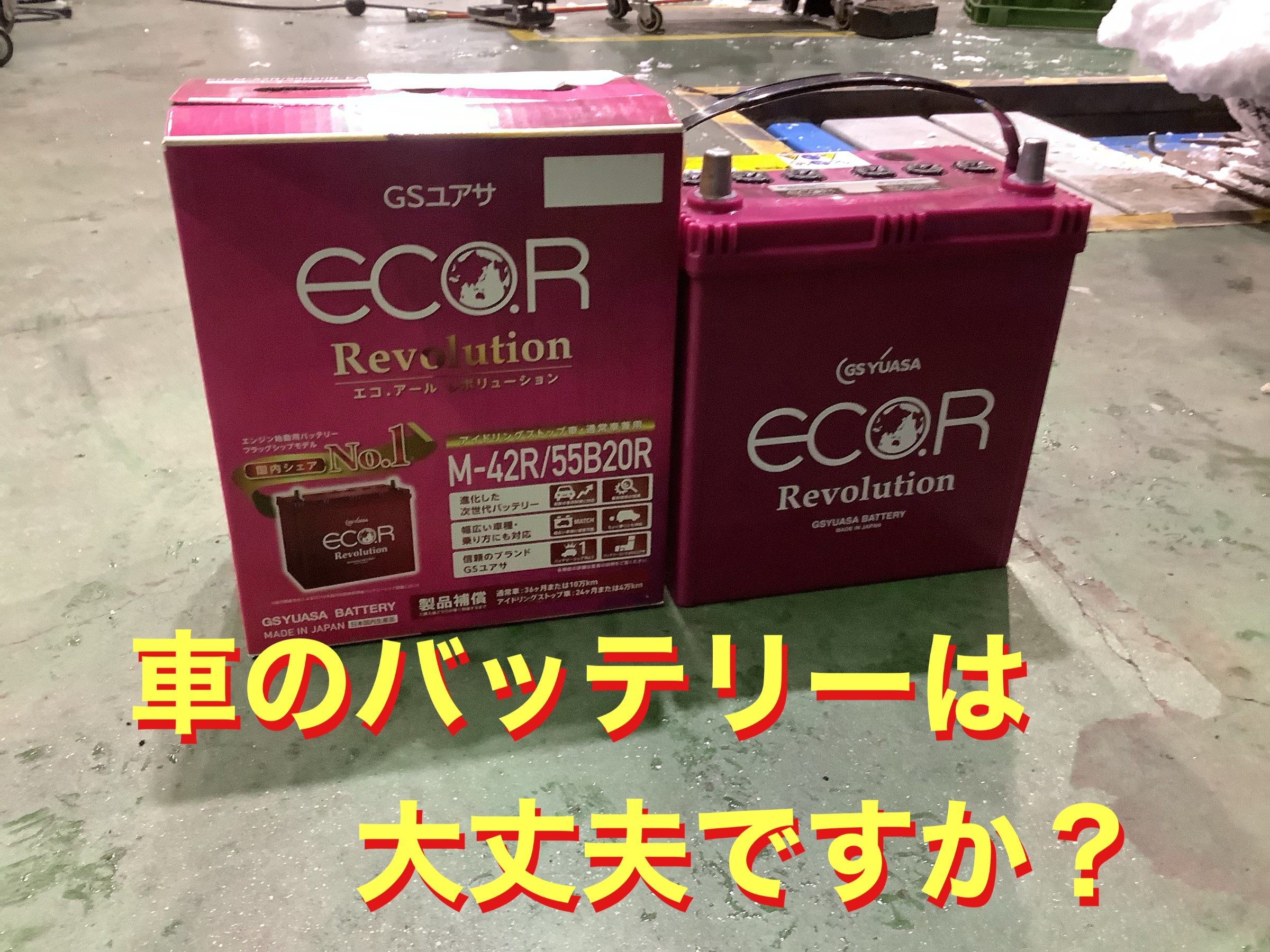 自店撮影です