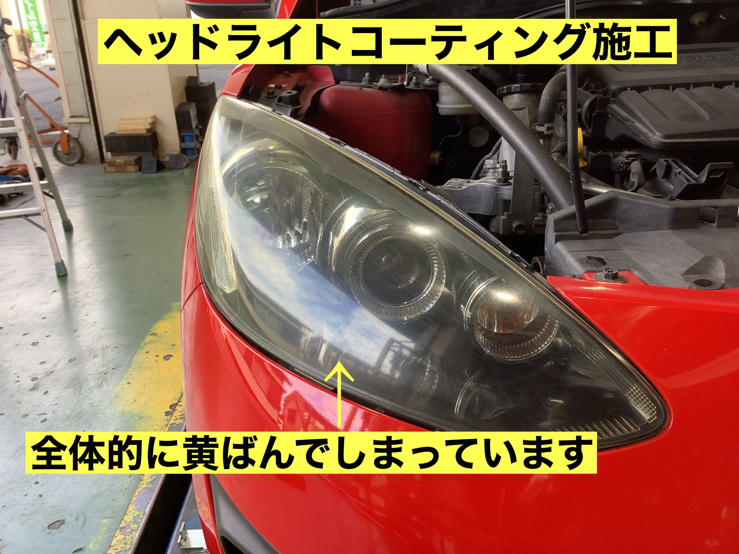 スタッフが撮影
