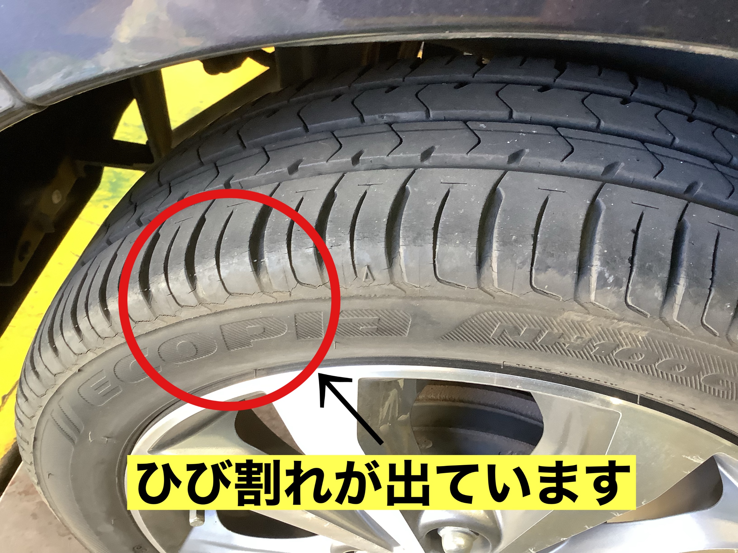 スタッフが撮影