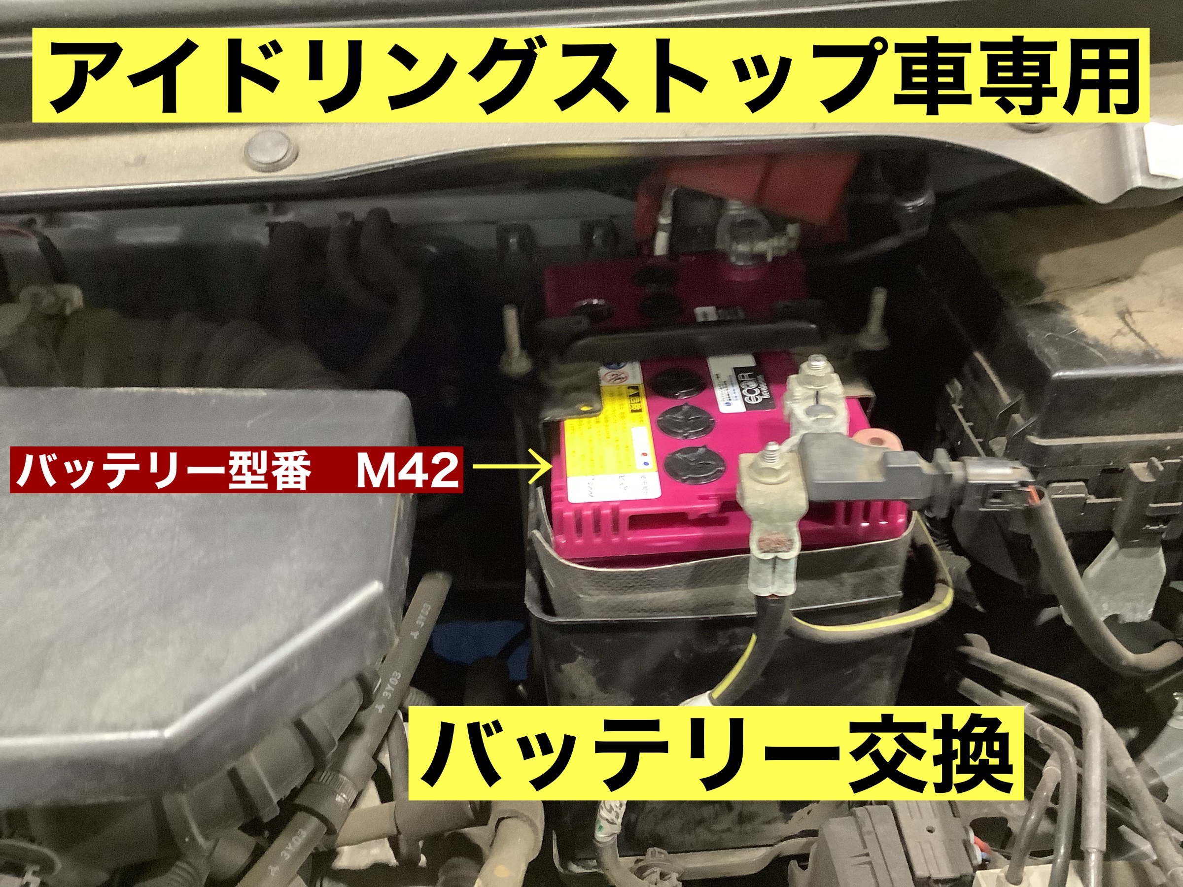 スタッフが撮影