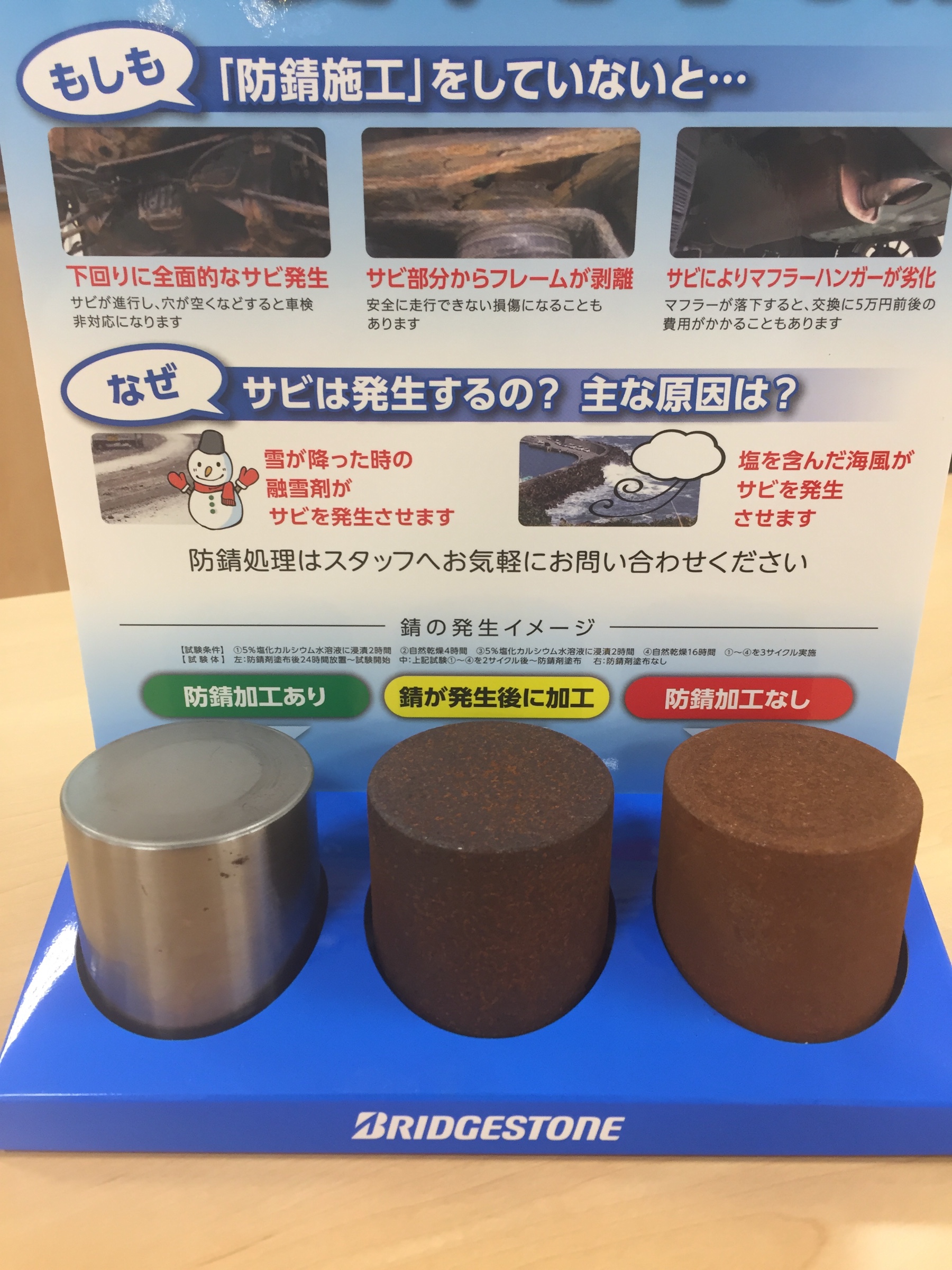 スタッフが撮影しました