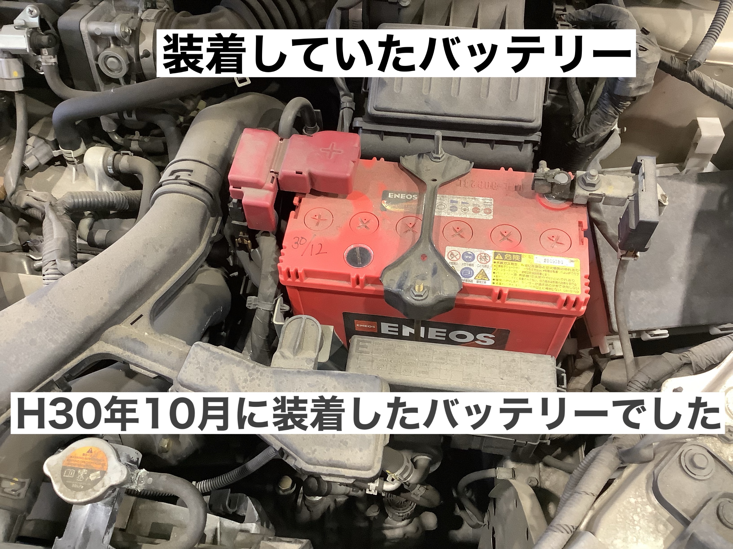 ススタッフが撮影