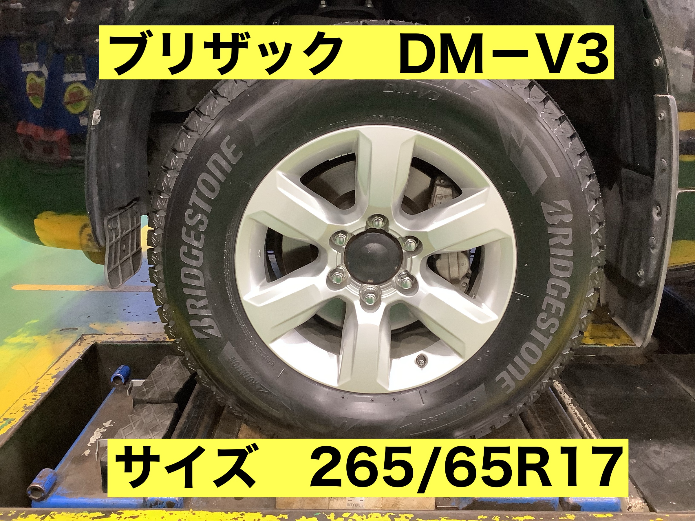 スタッフが撮影
