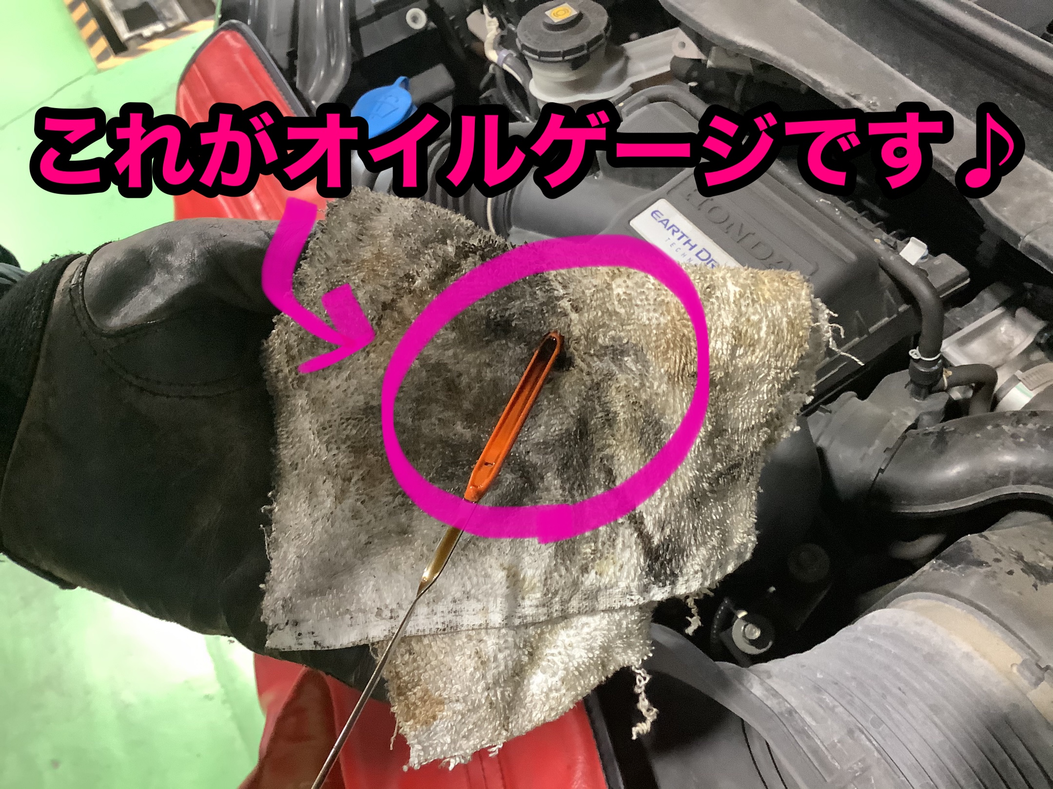 BRJ分