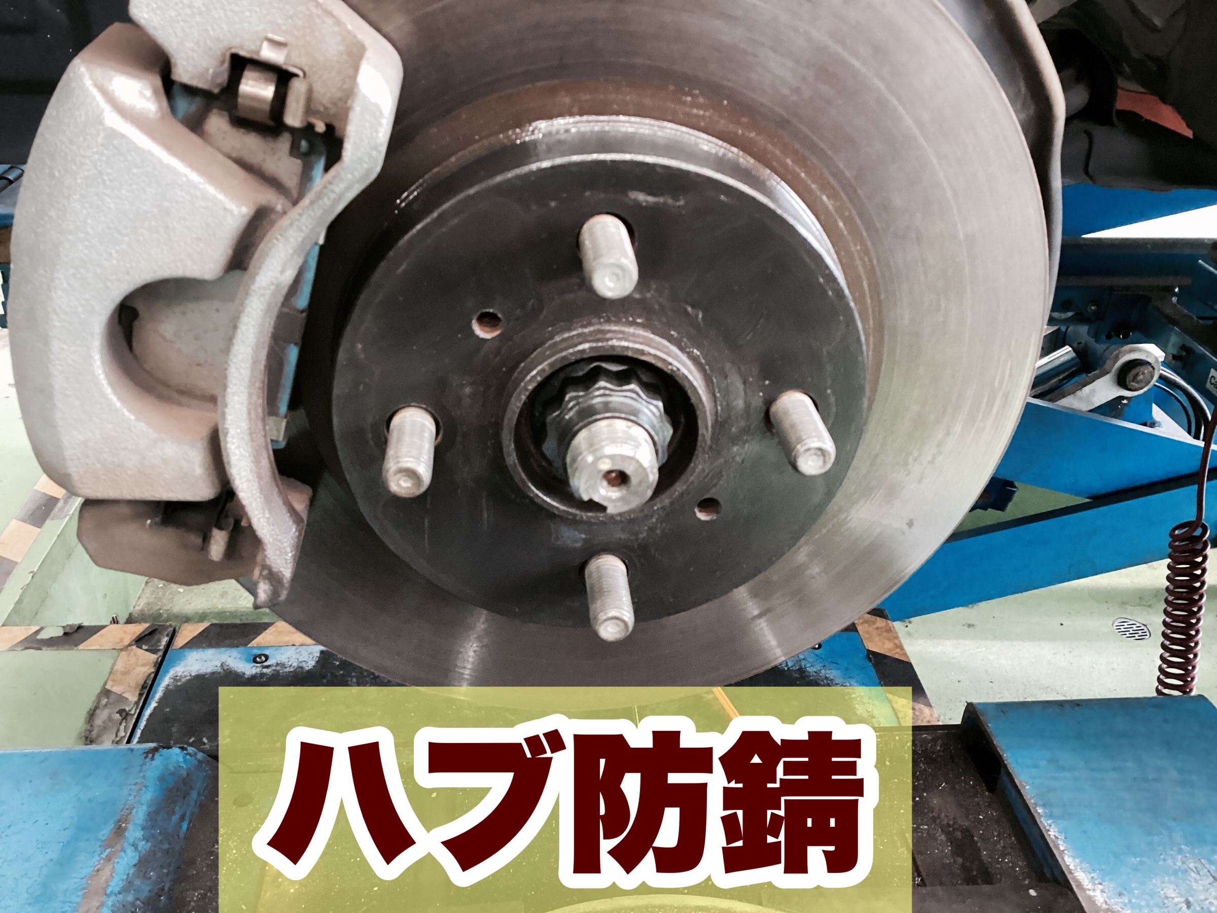 スタッフ撮影分