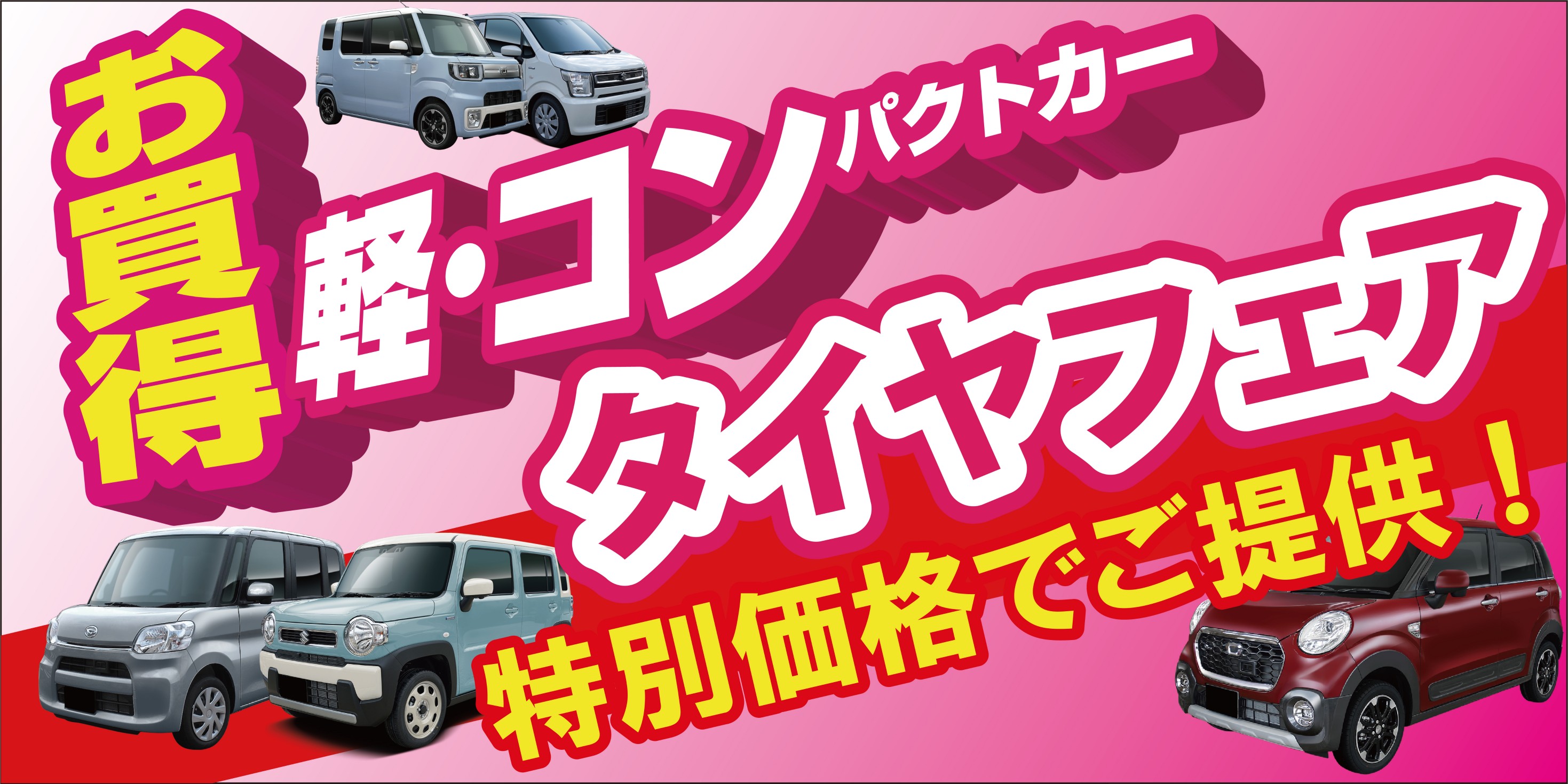 シメティコナ アルタイア リーフレット