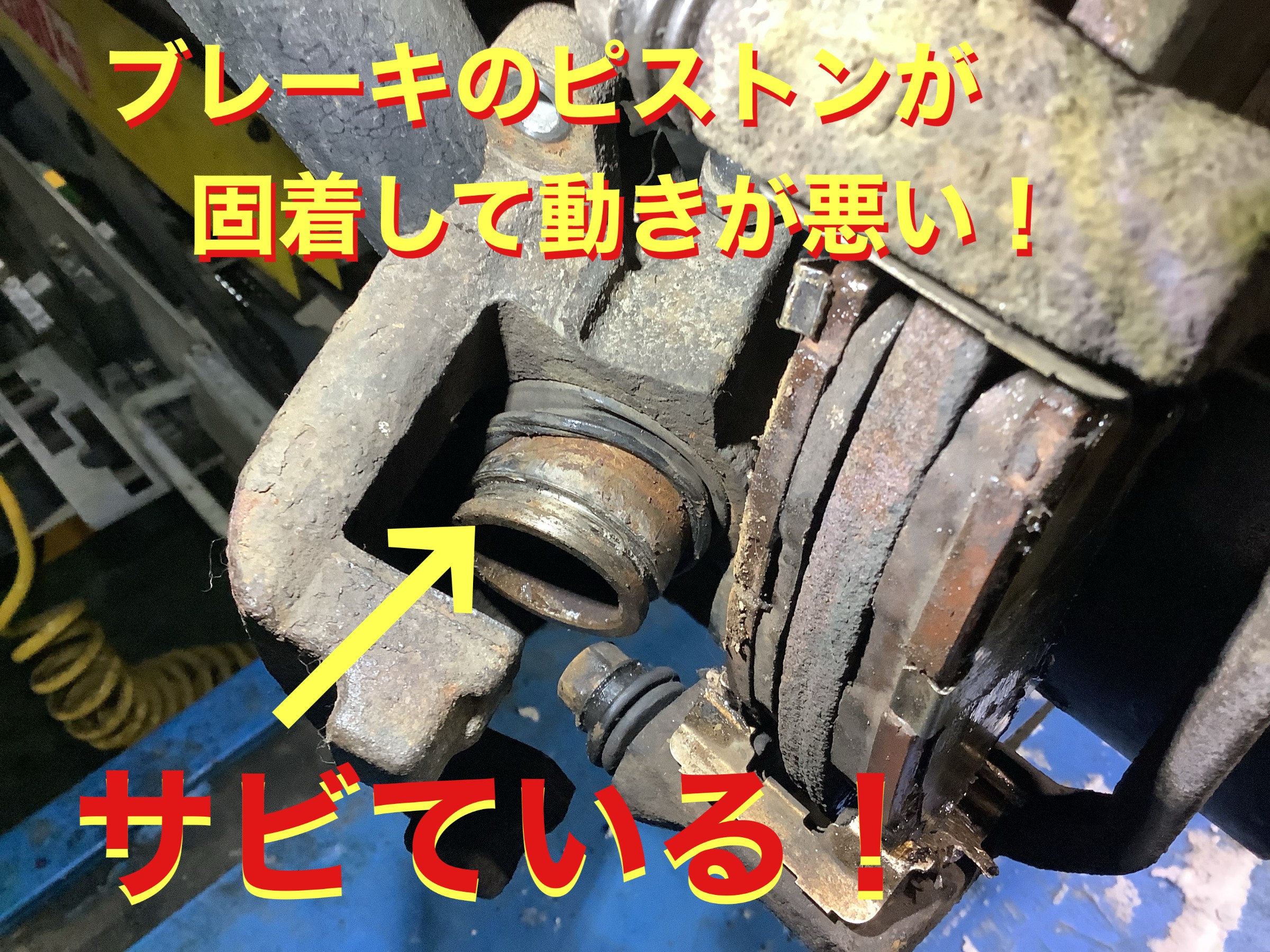 自店撮影です