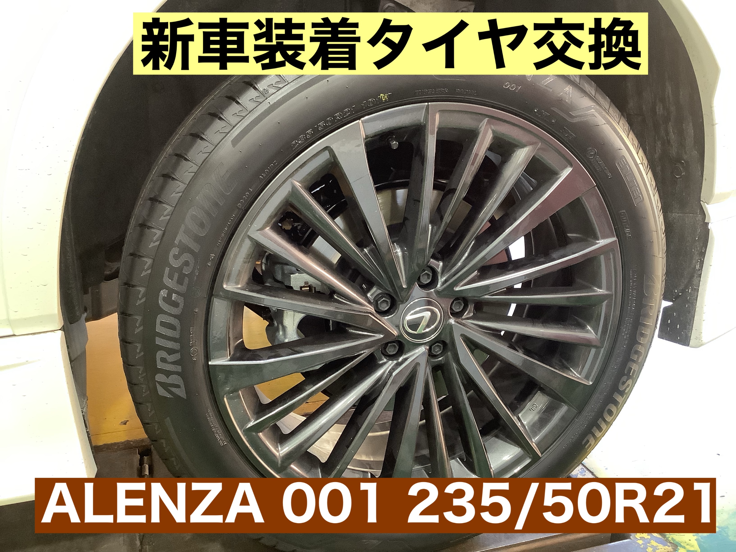 スタッフが撮影