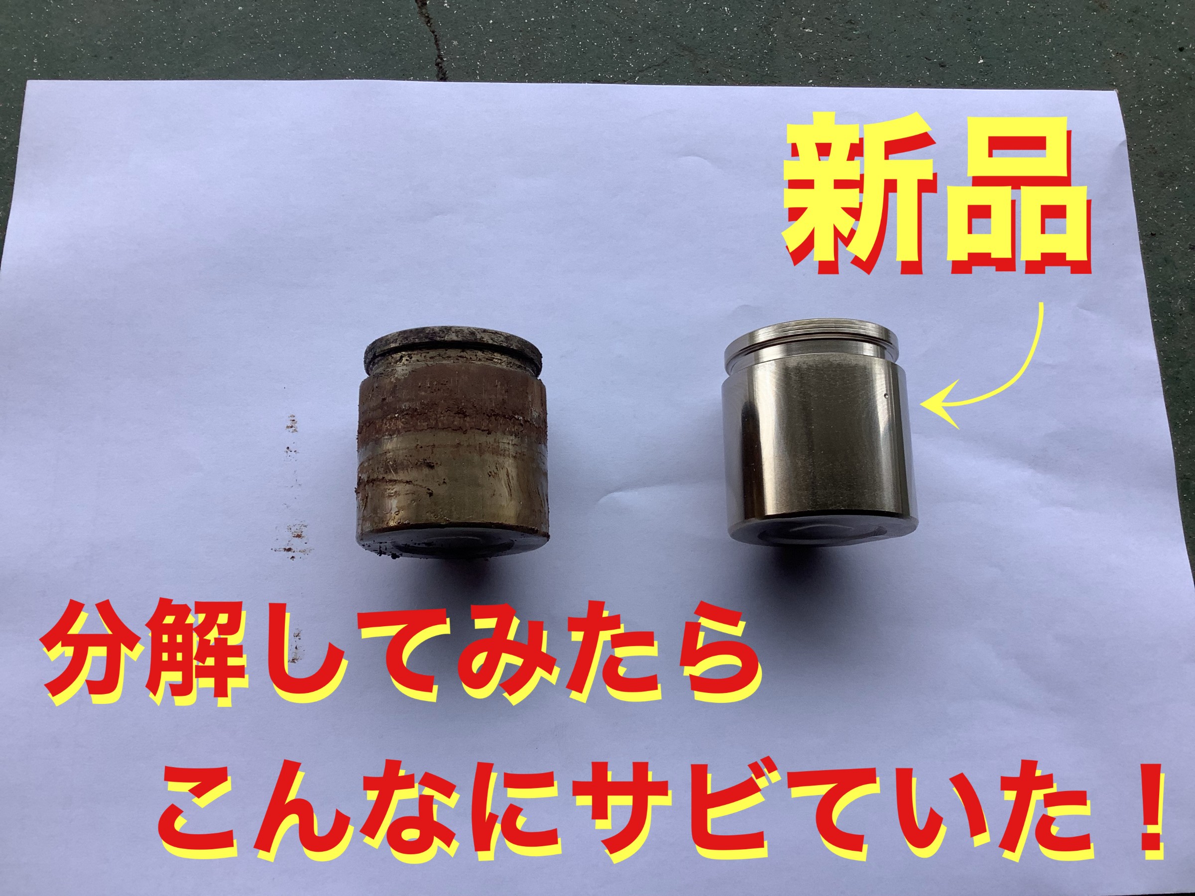 自店撮影です