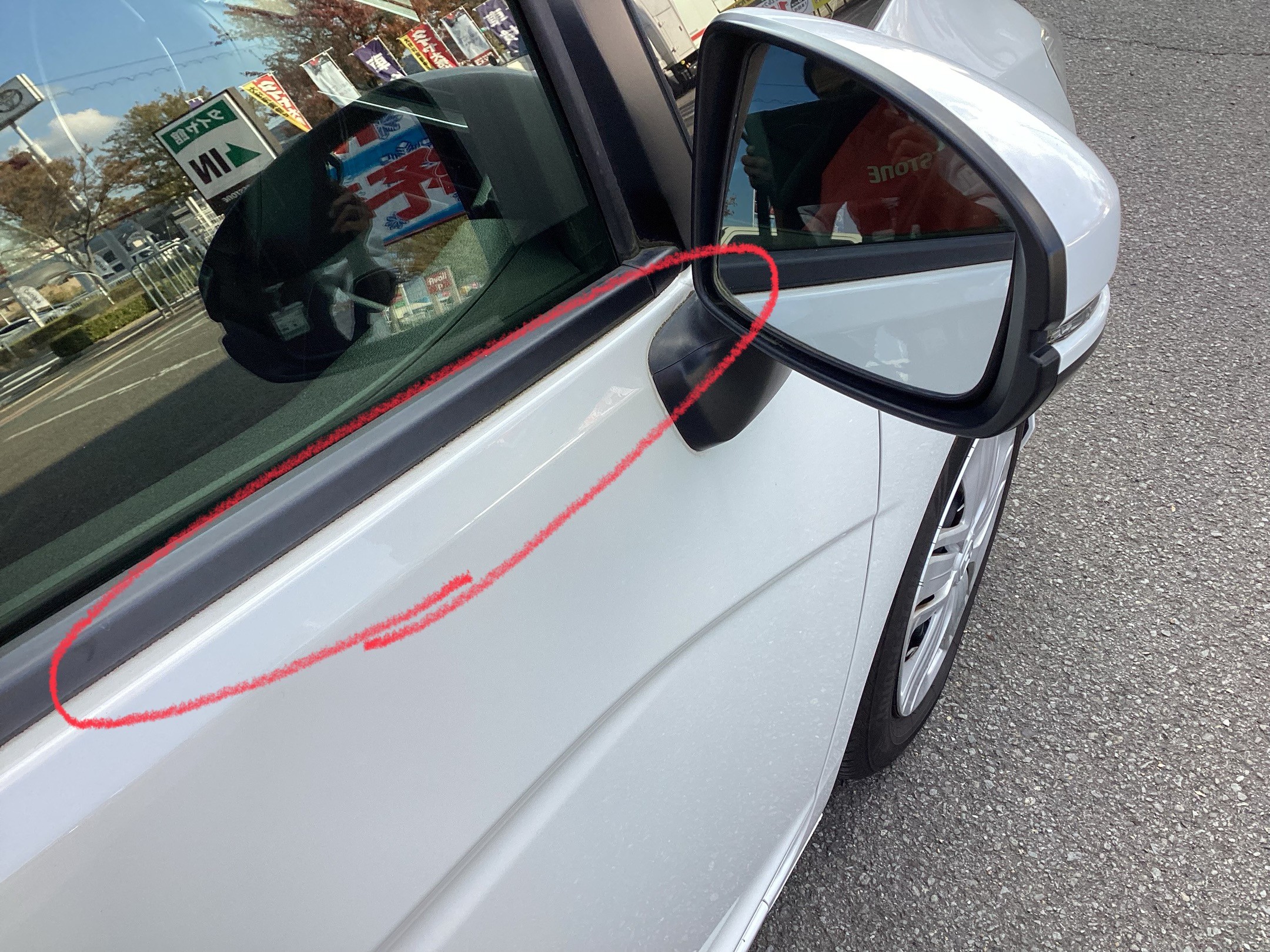 スタッフ撮影分