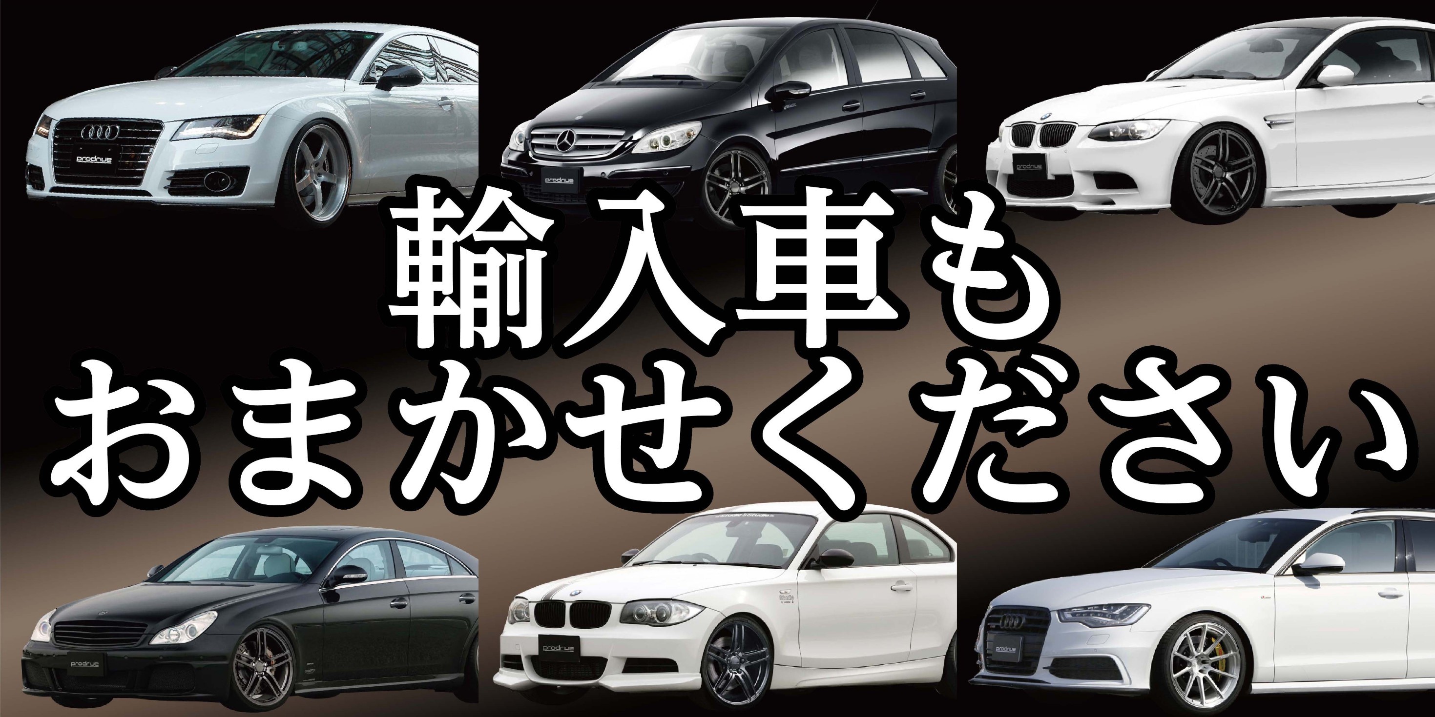 本部提供分画像使用