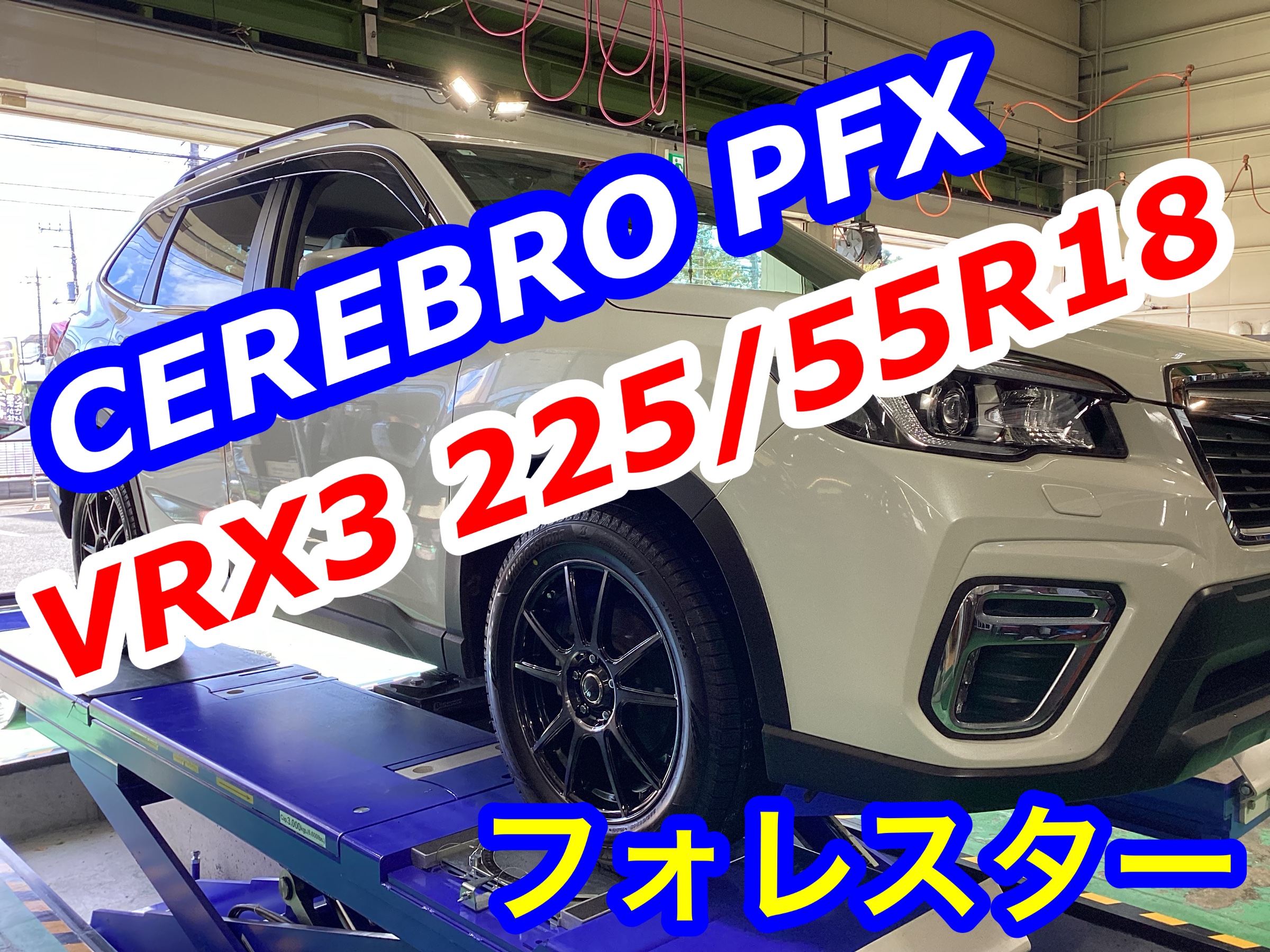 スタッフ撮影画像