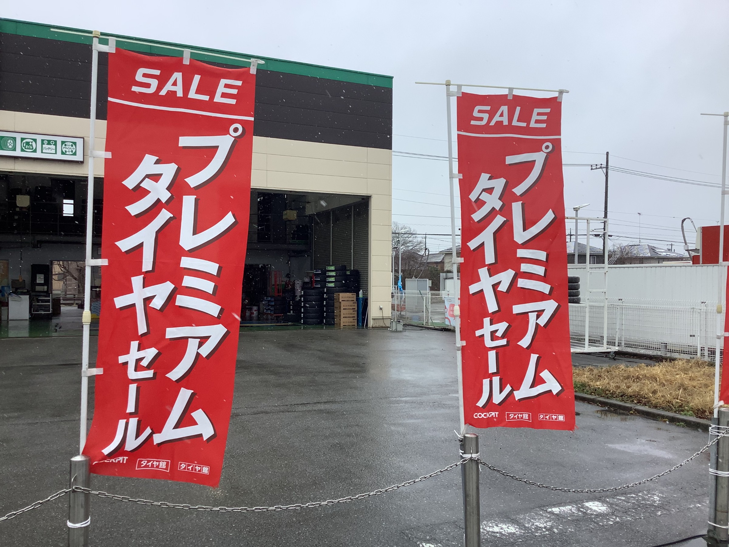 スタッフが撮影した画像です。