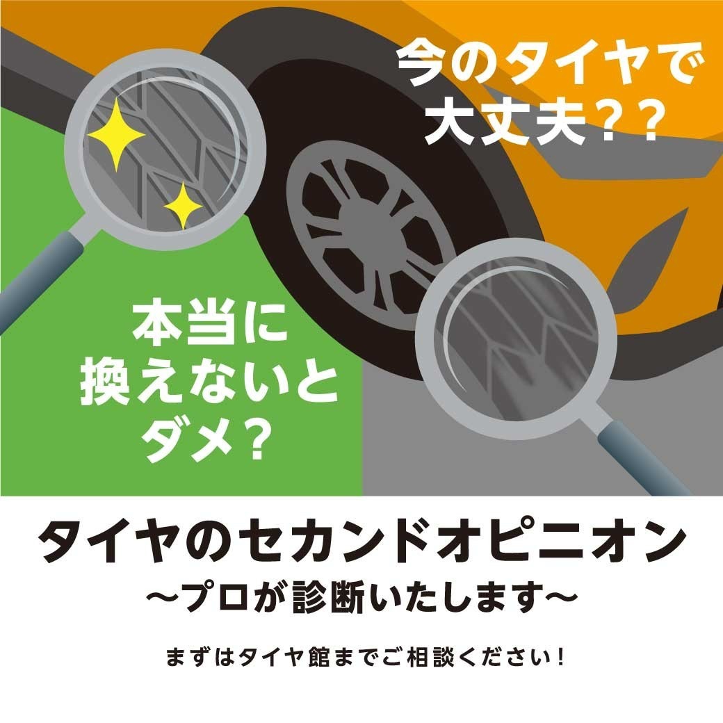 本部提供分画像使用