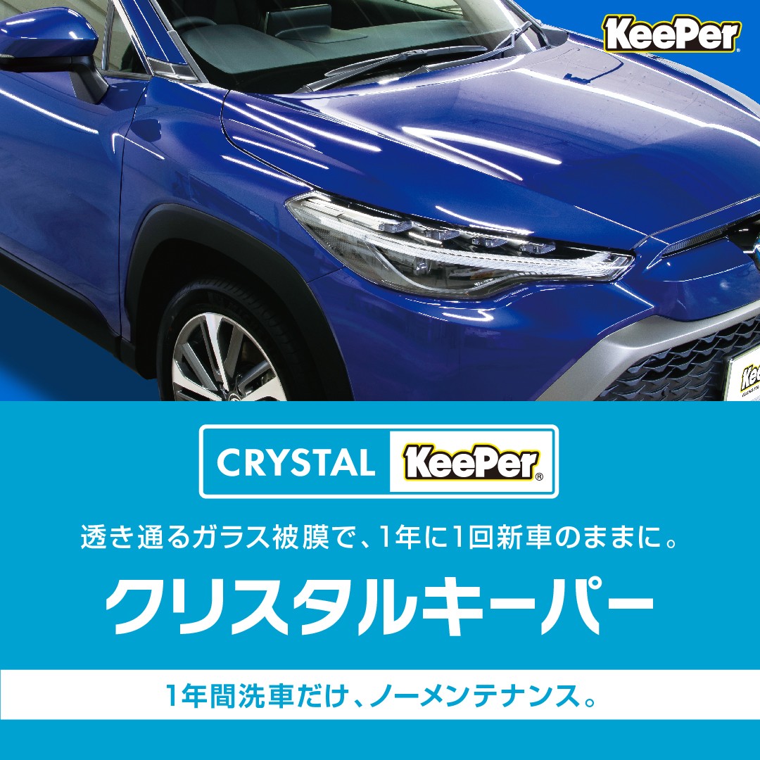 本部提供画像です