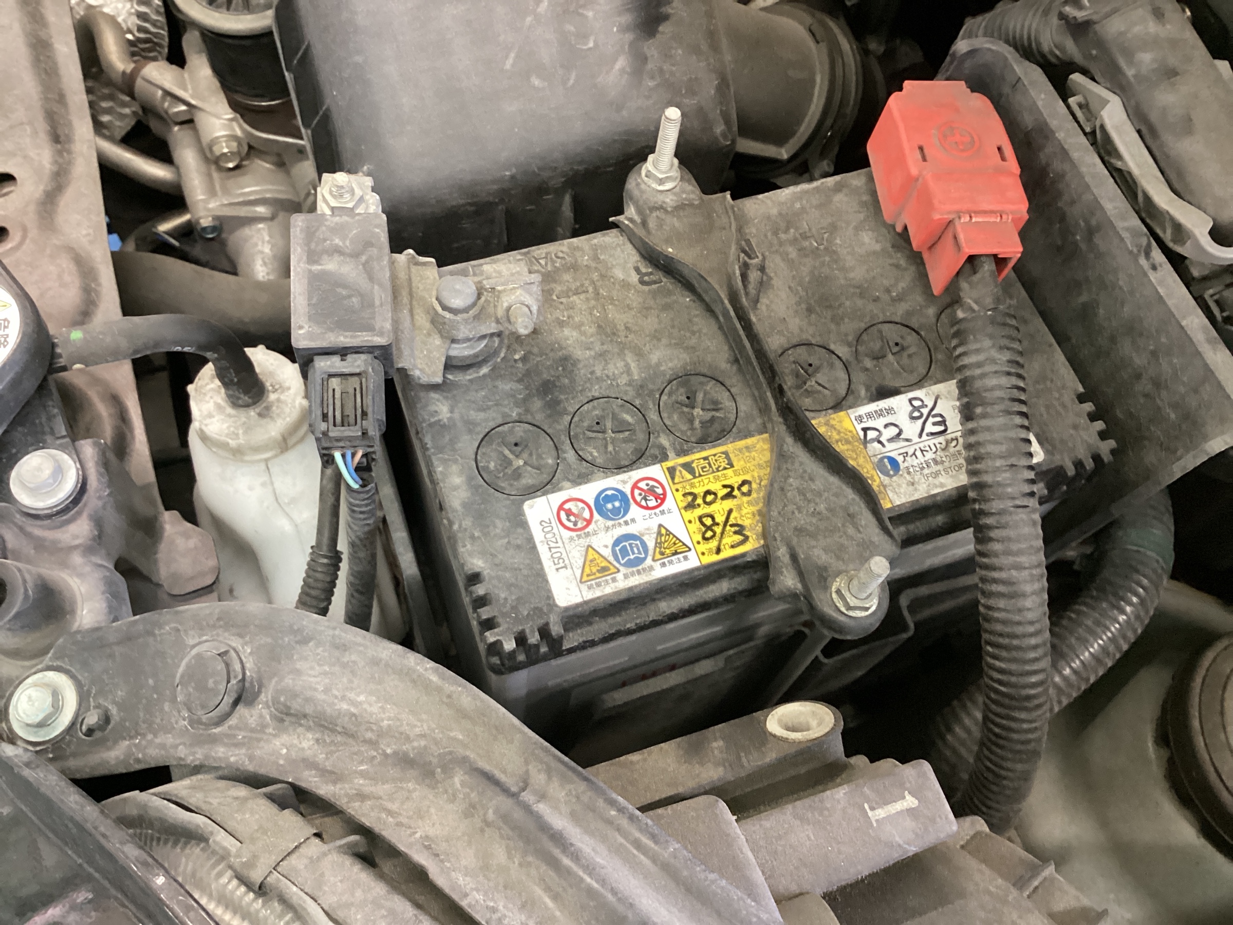 スタッフ撮影分