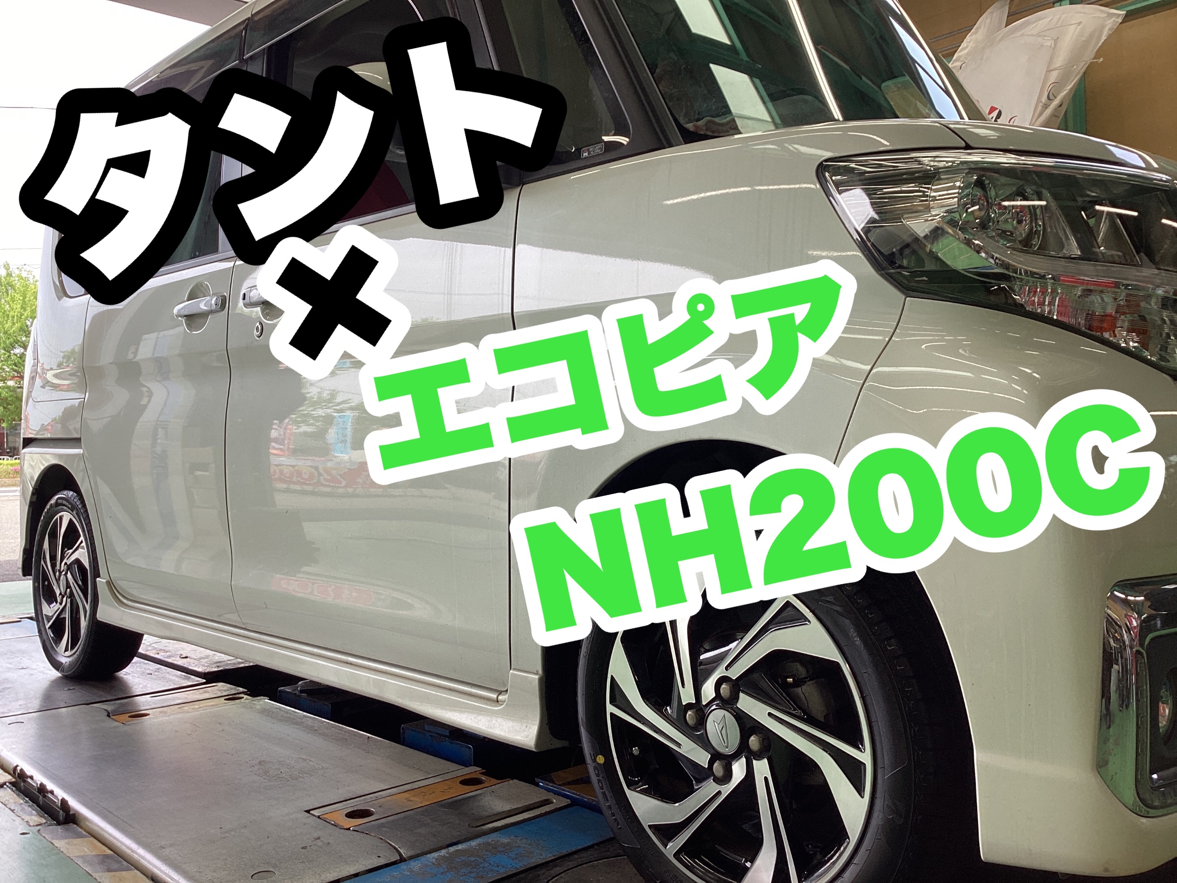 スタッフ撮影分