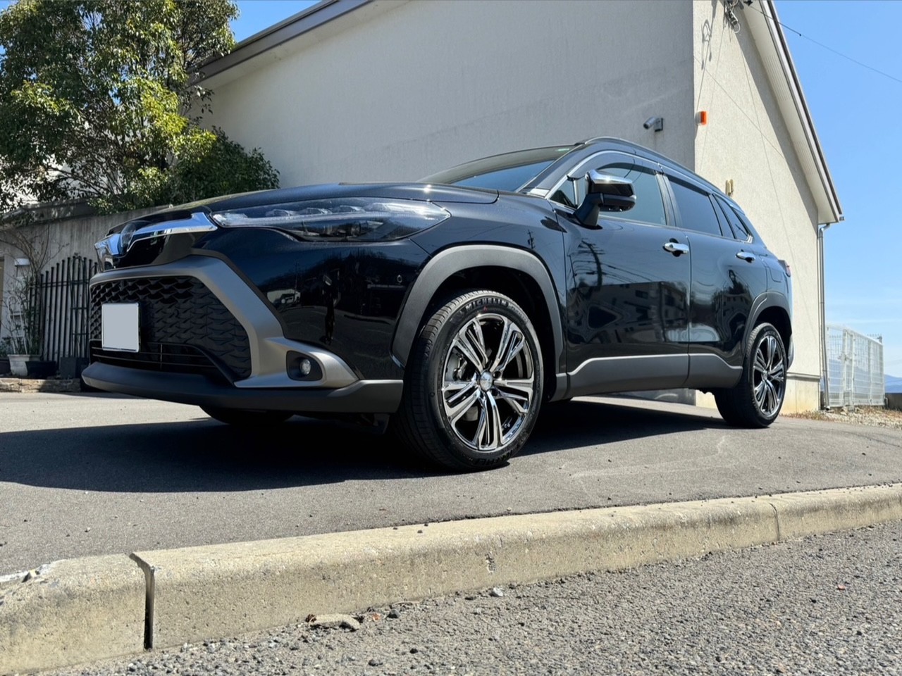 レオコロ レオニス ホイール カローラクロス