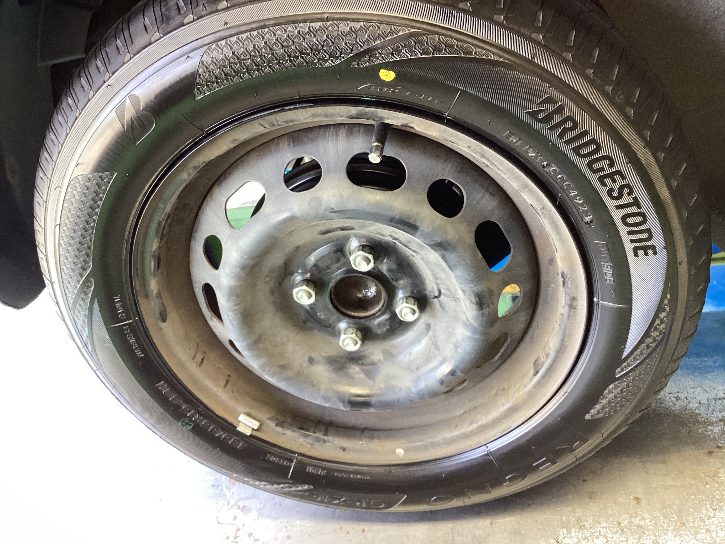 スタッフ撮影分