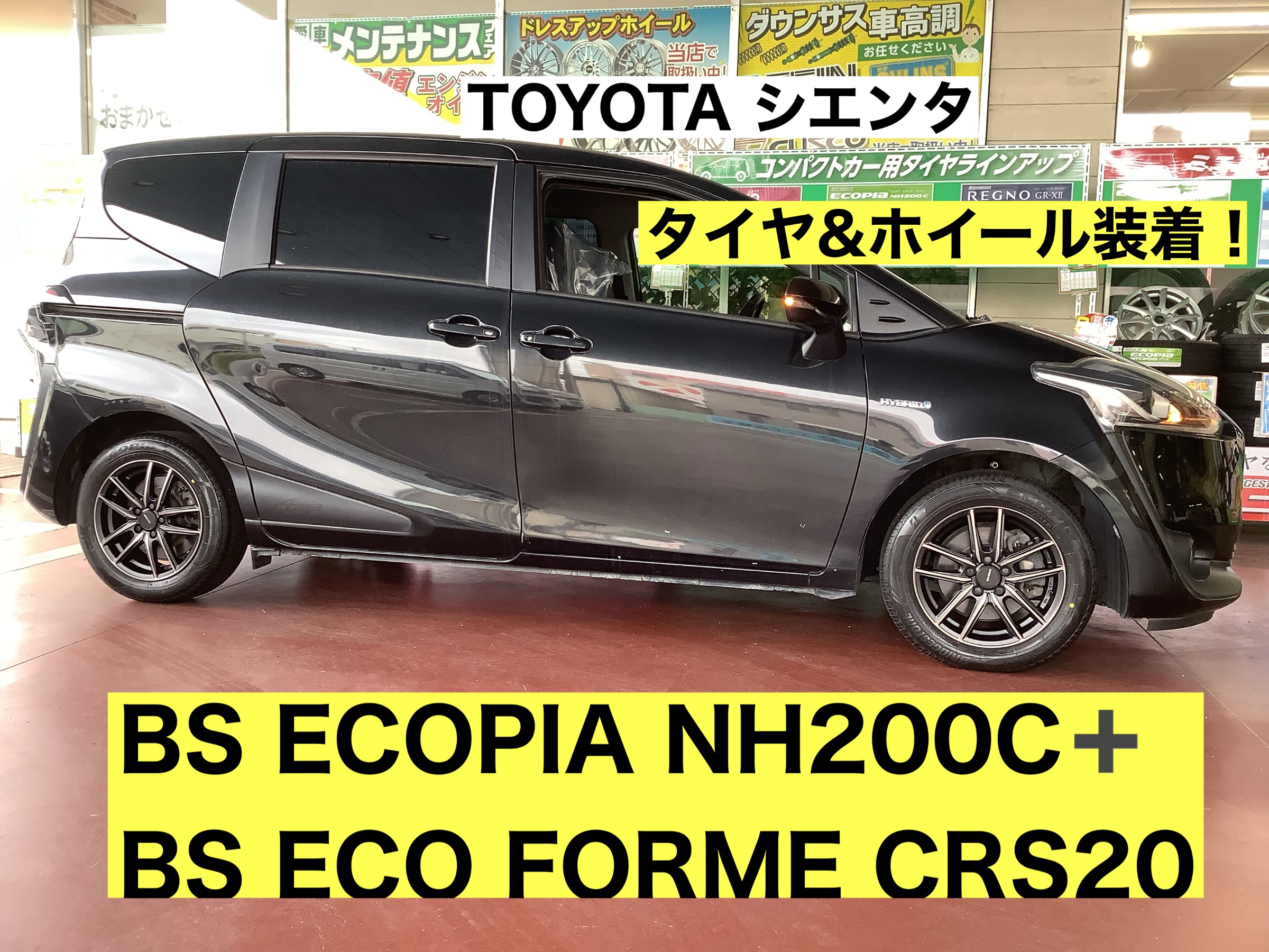 スタッフが撮影