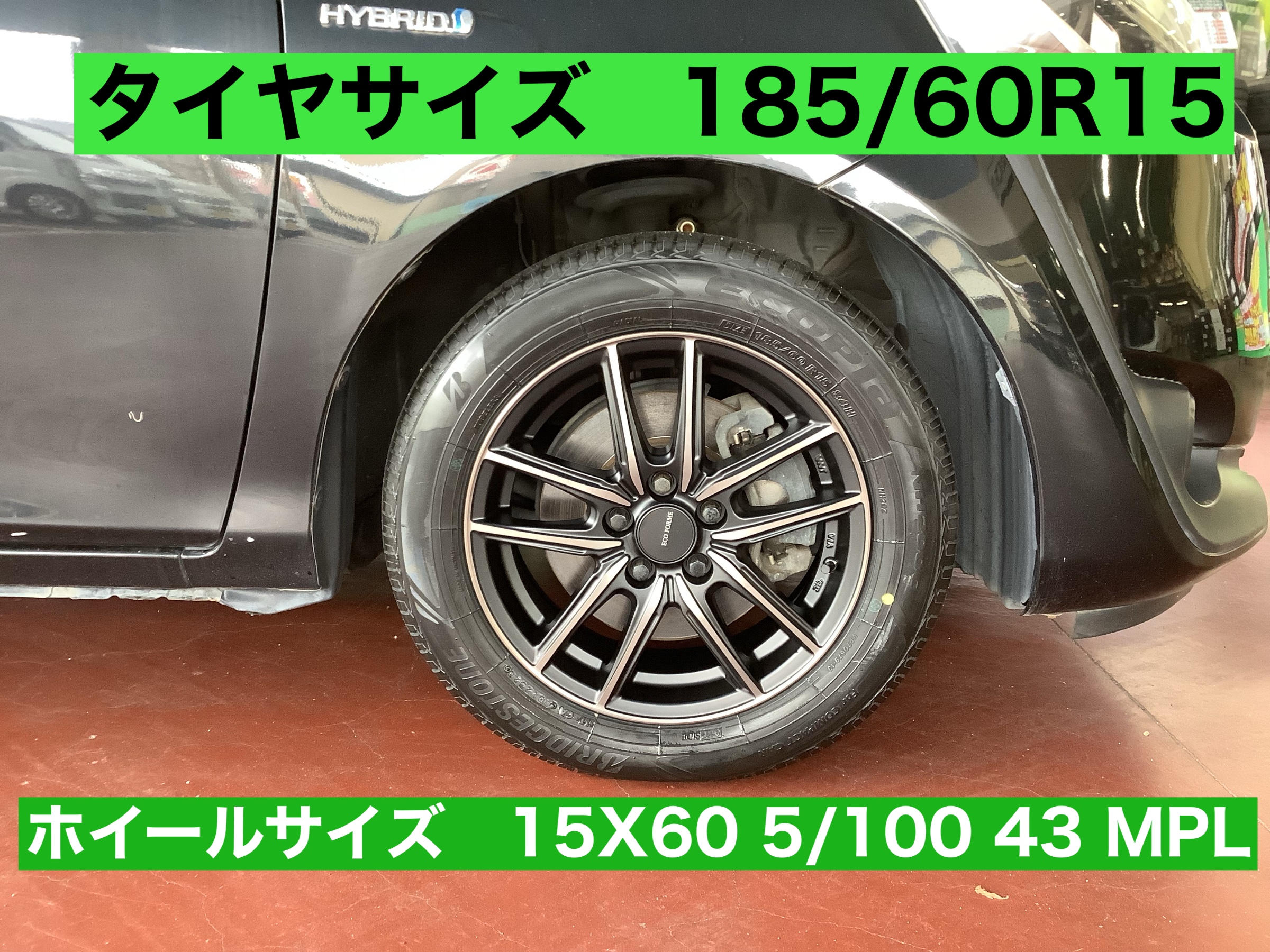 スタッフが撮影