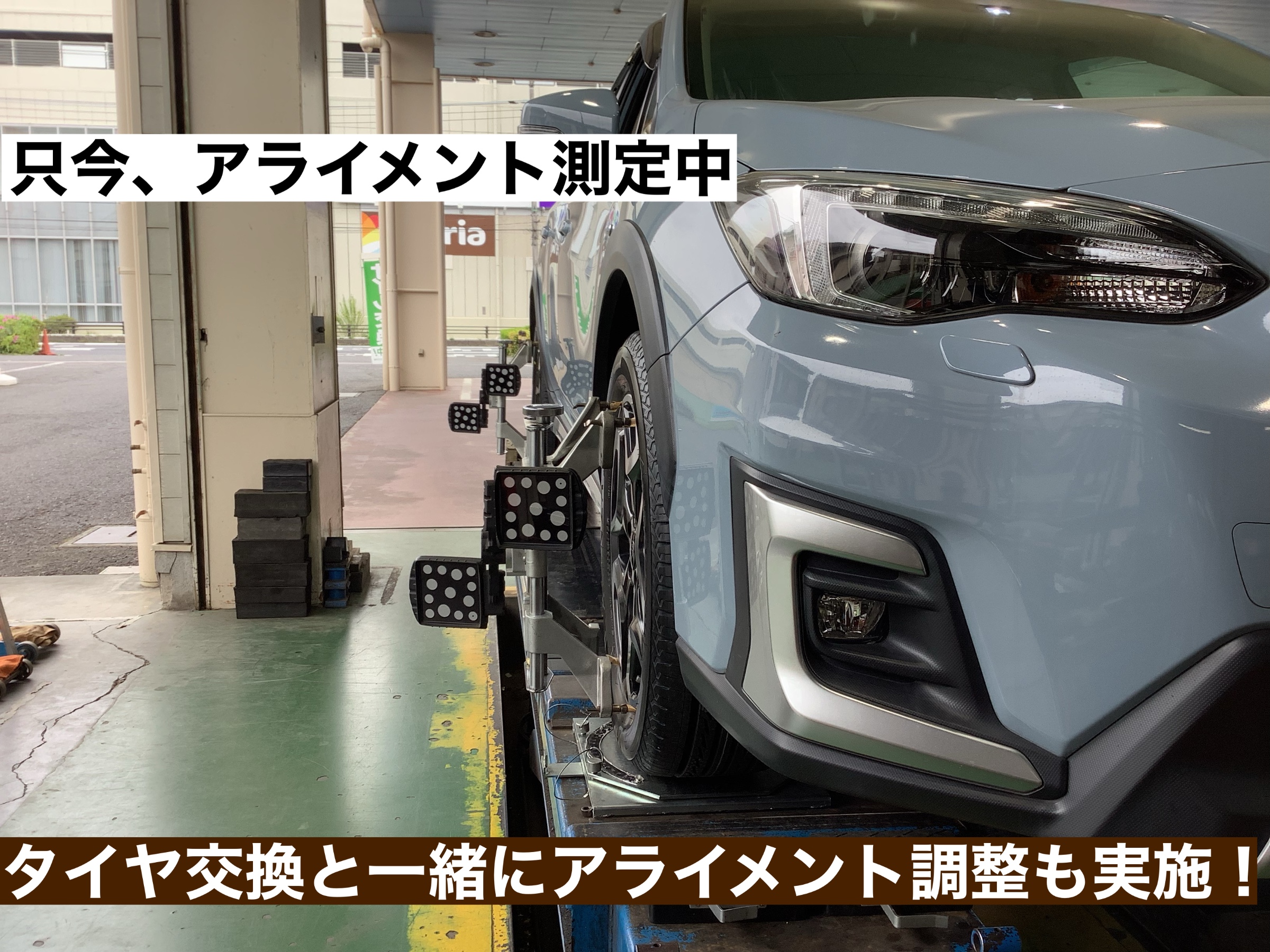 スタッフが撮影