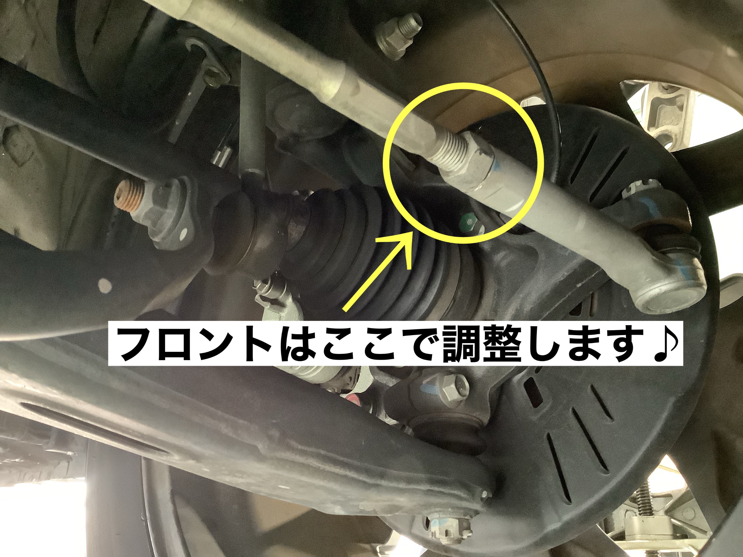 スタッフが撮影