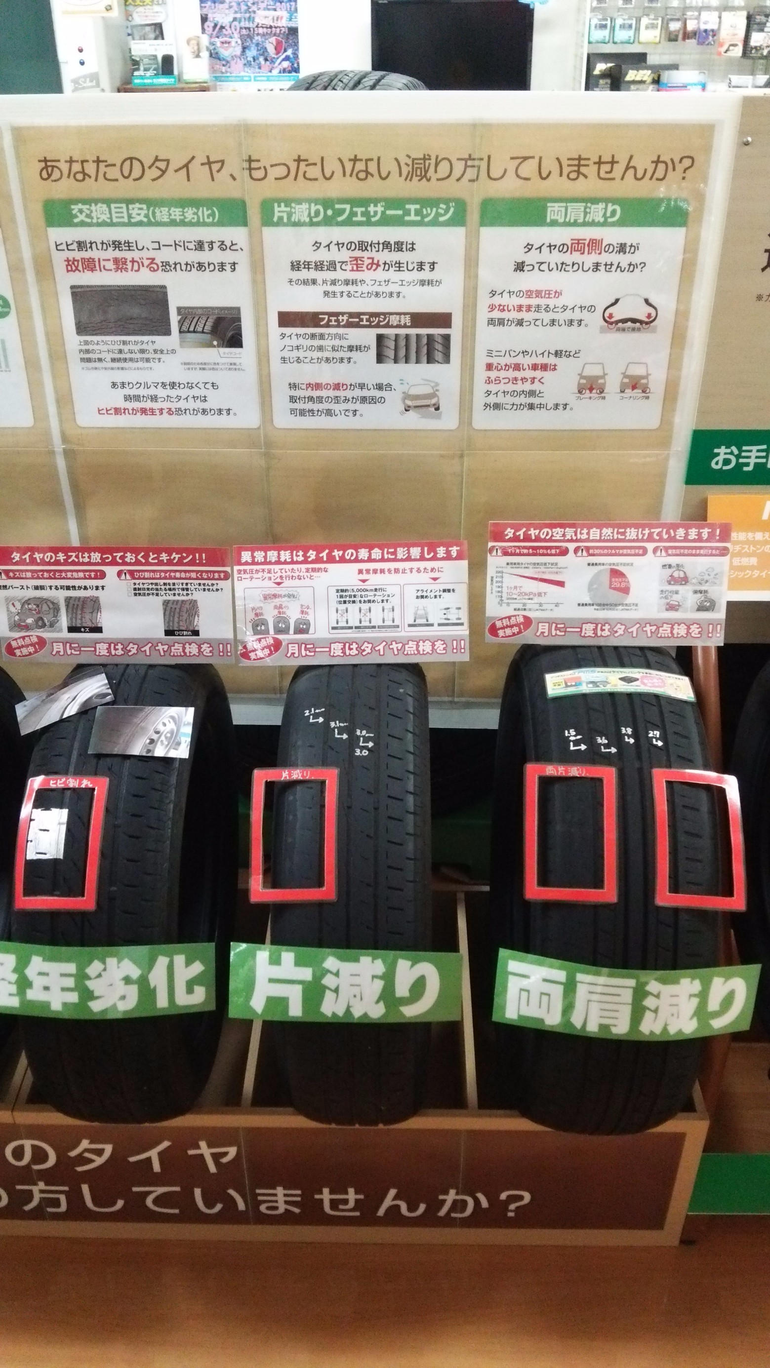 スタッフ撮影です。