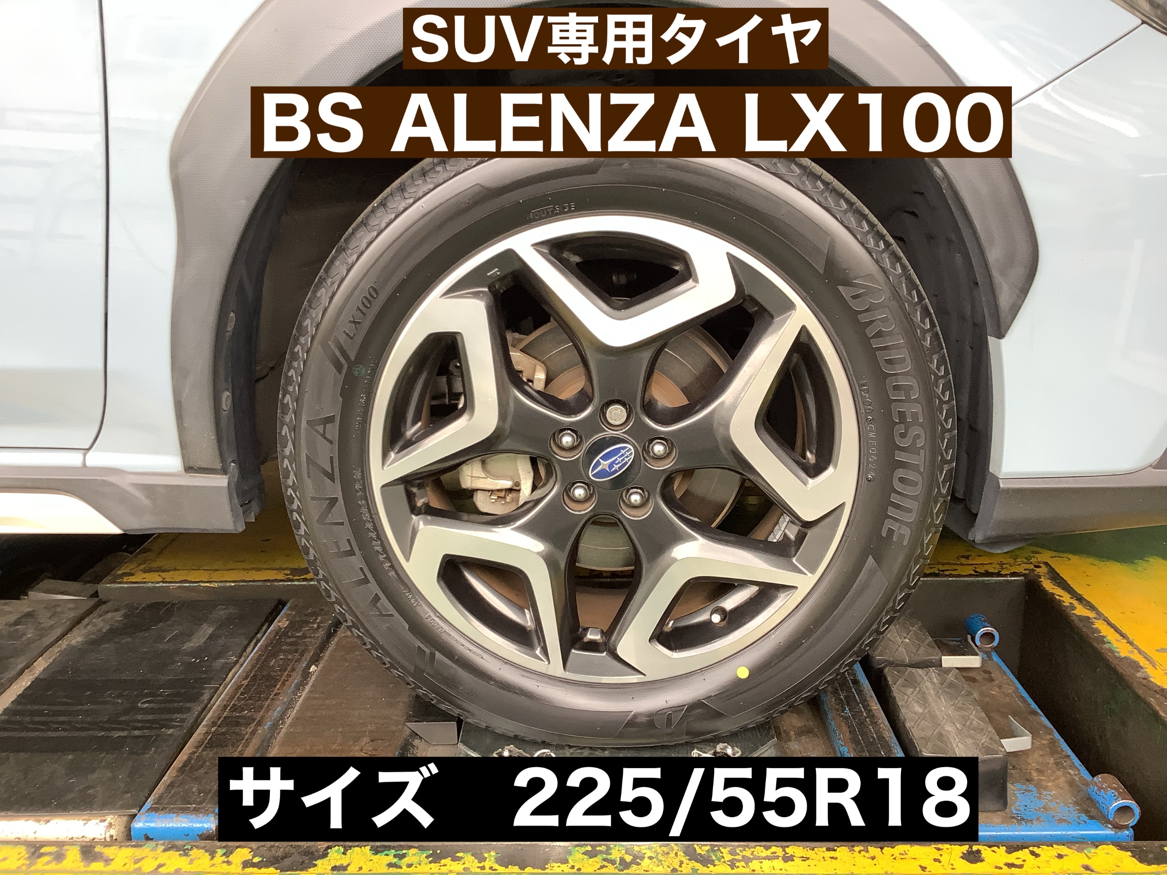 スタッフが撮影