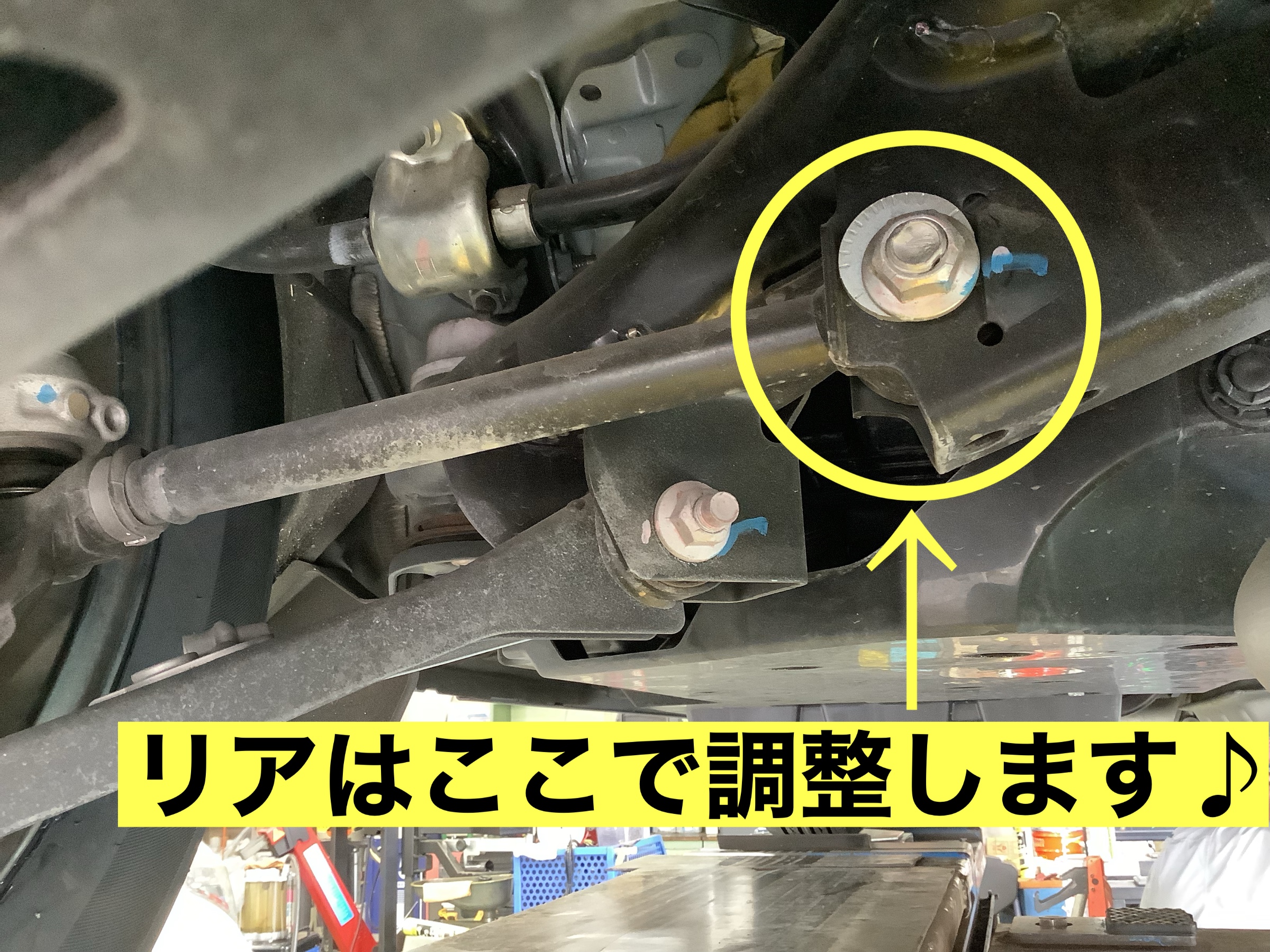 スタッフが撮影