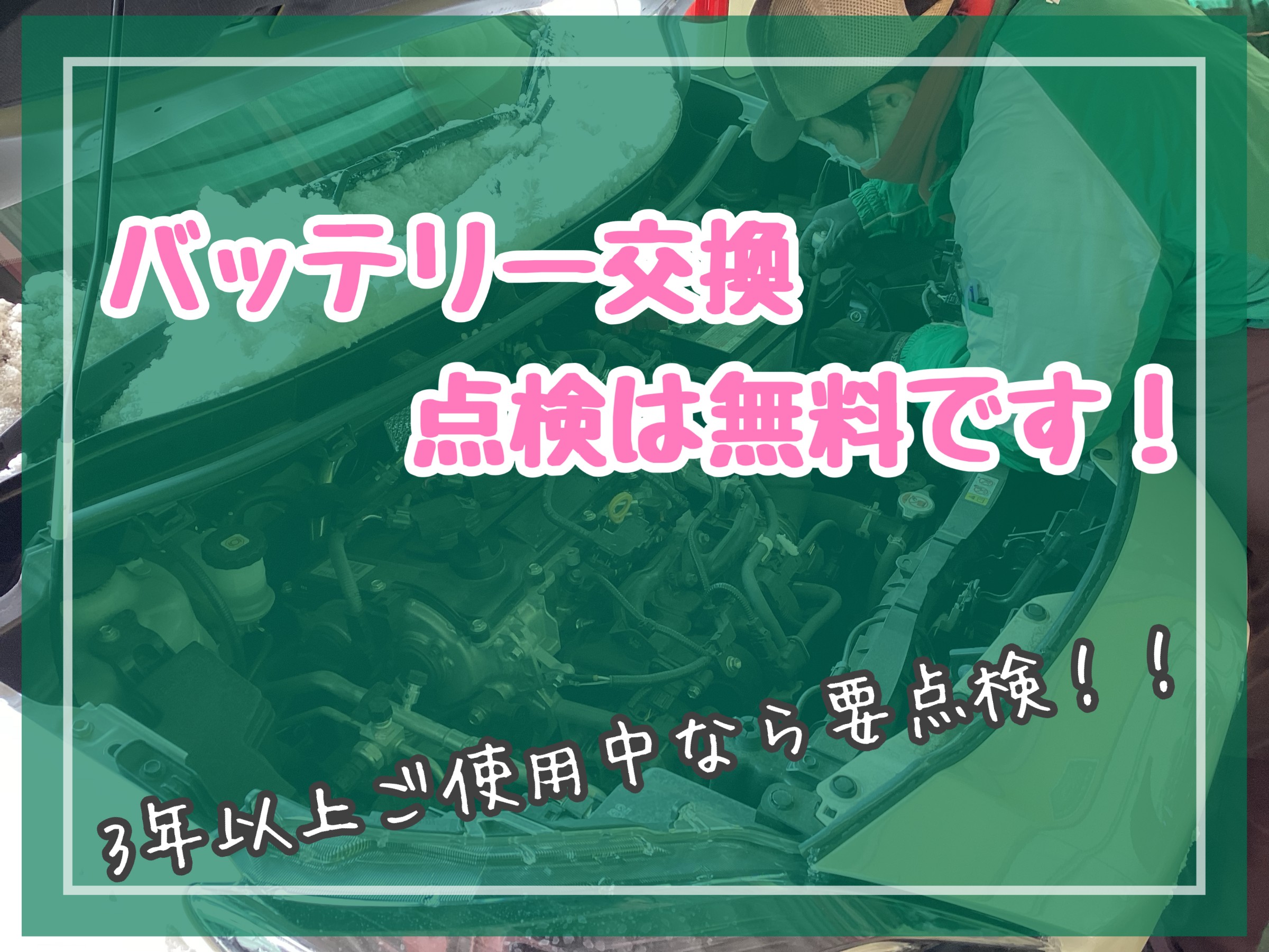 スタッフが撮影加工した画像