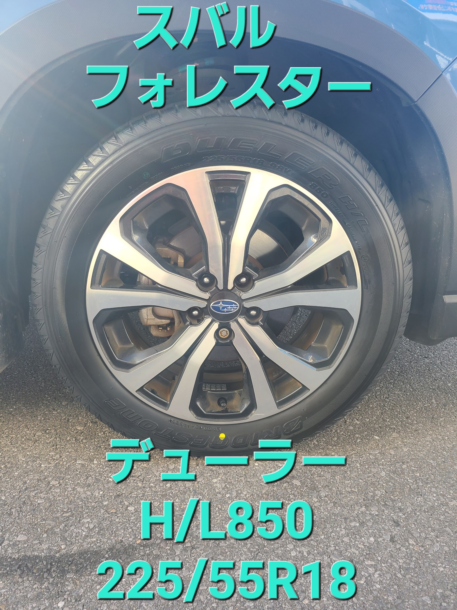 スタッフが撮影しました。