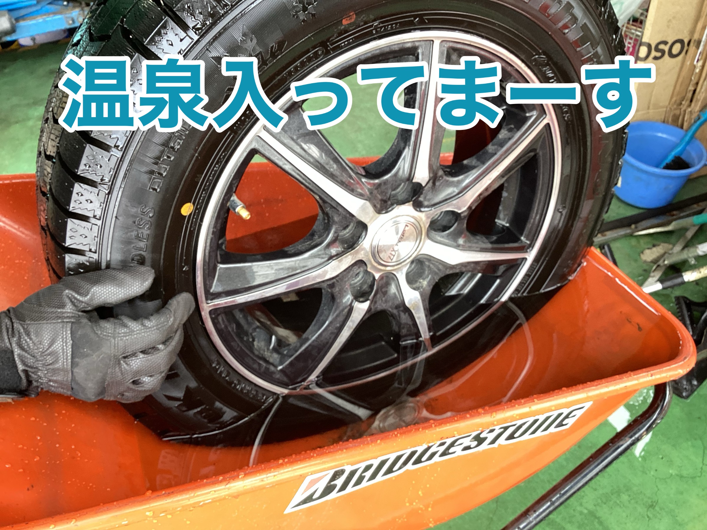 スタッフがとりました